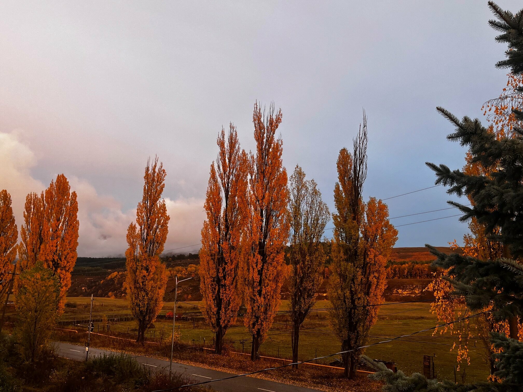 Двухместный номер с 2 отдельными кроватями