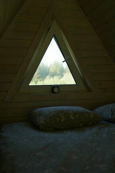 Дом с видом на лес