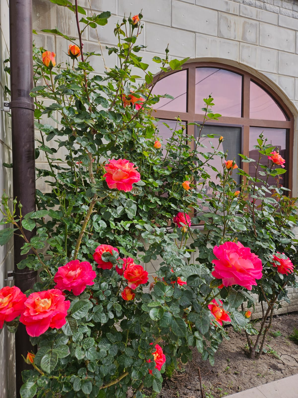 Стандартный трехместный номер