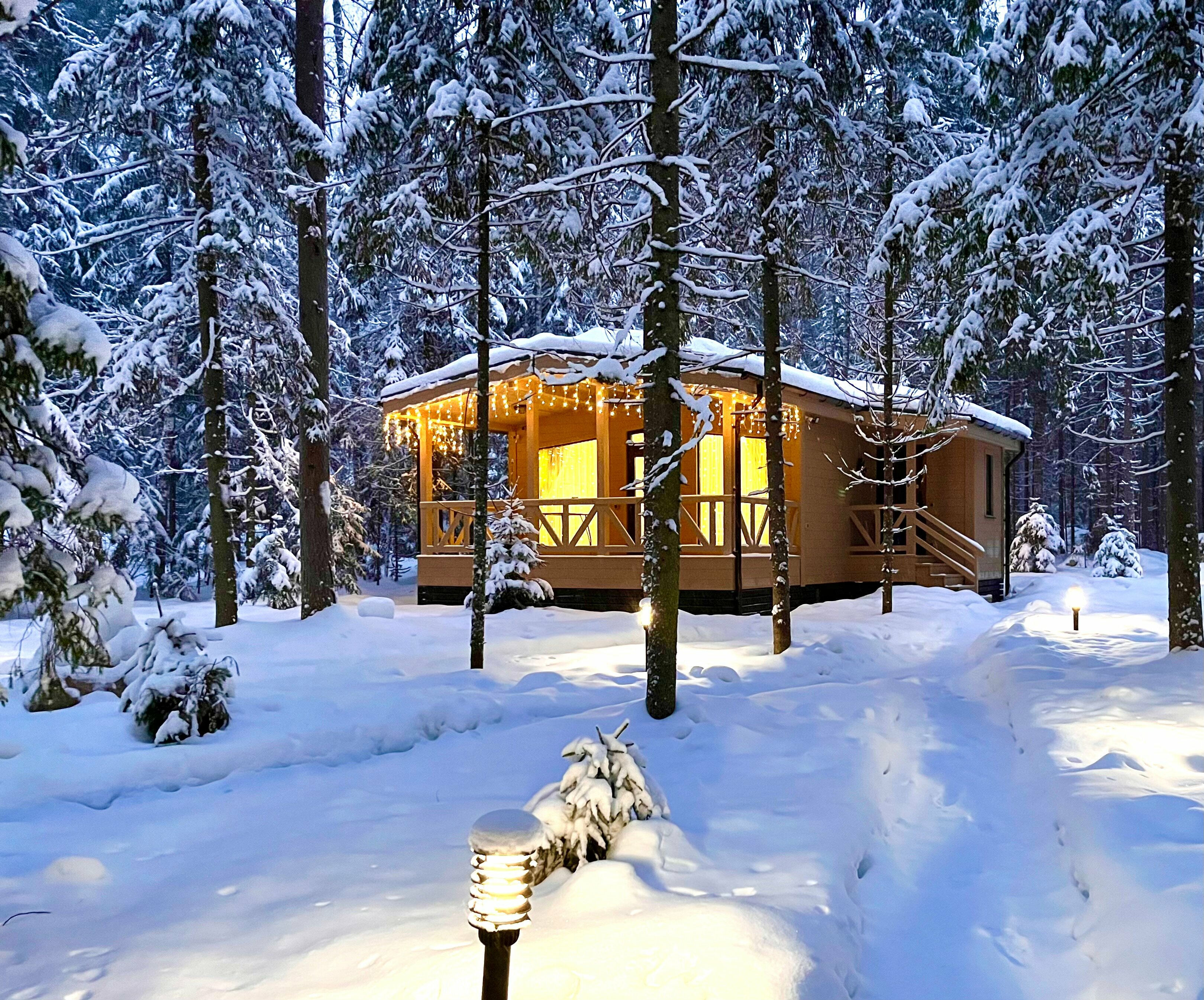 Коттедж Гармония леса