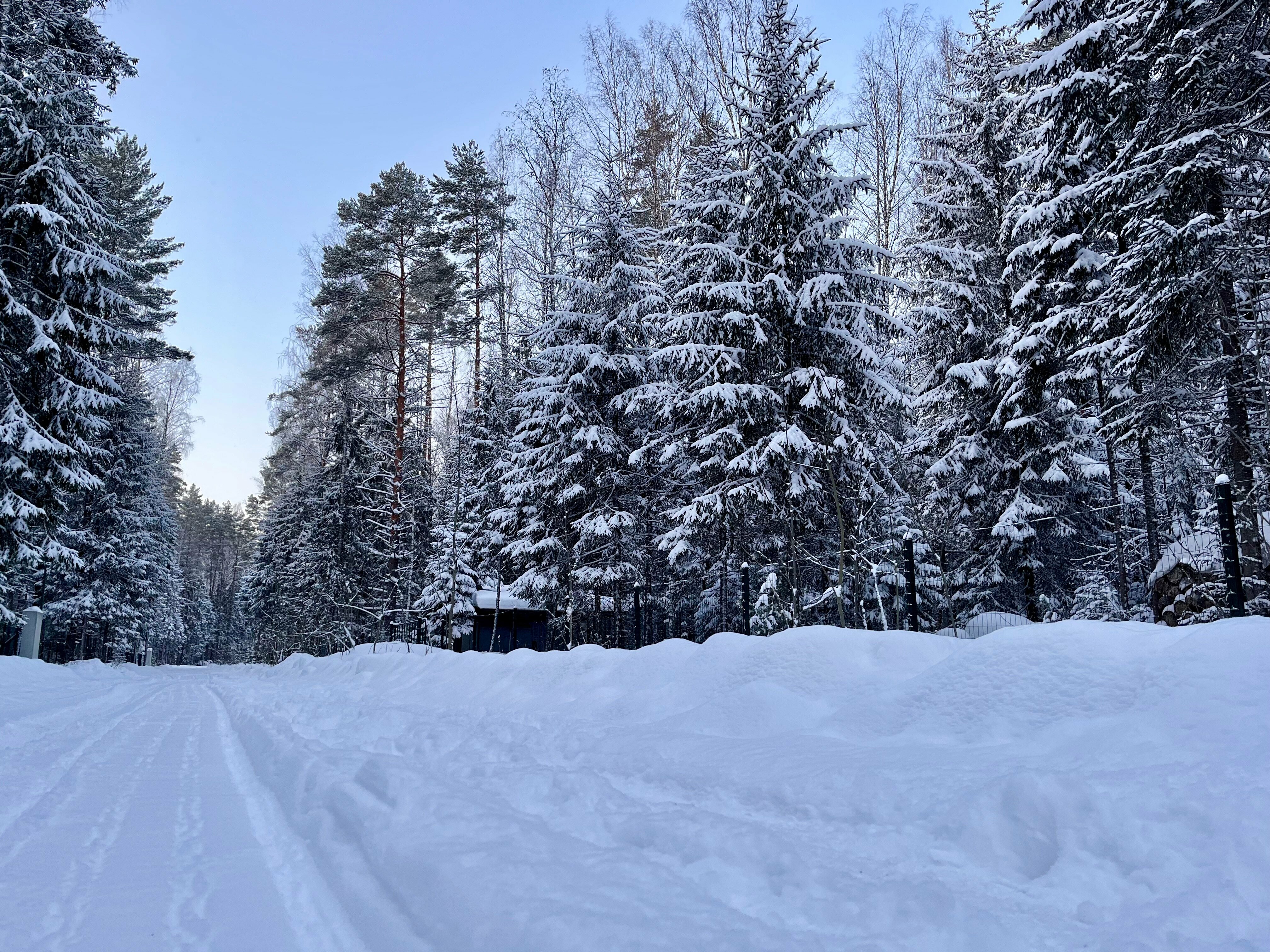 Лесной домик