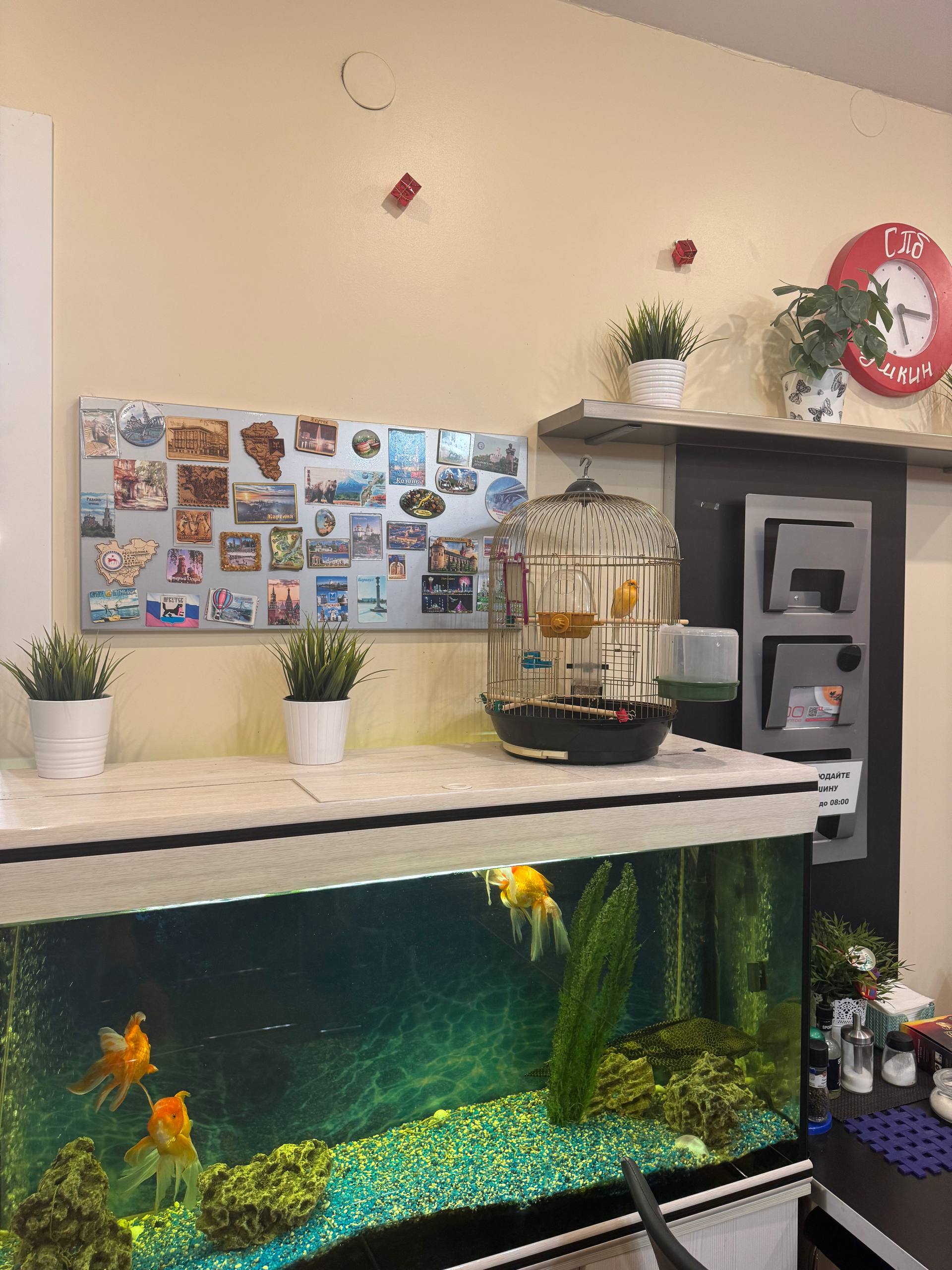 Классический четырехместный номер