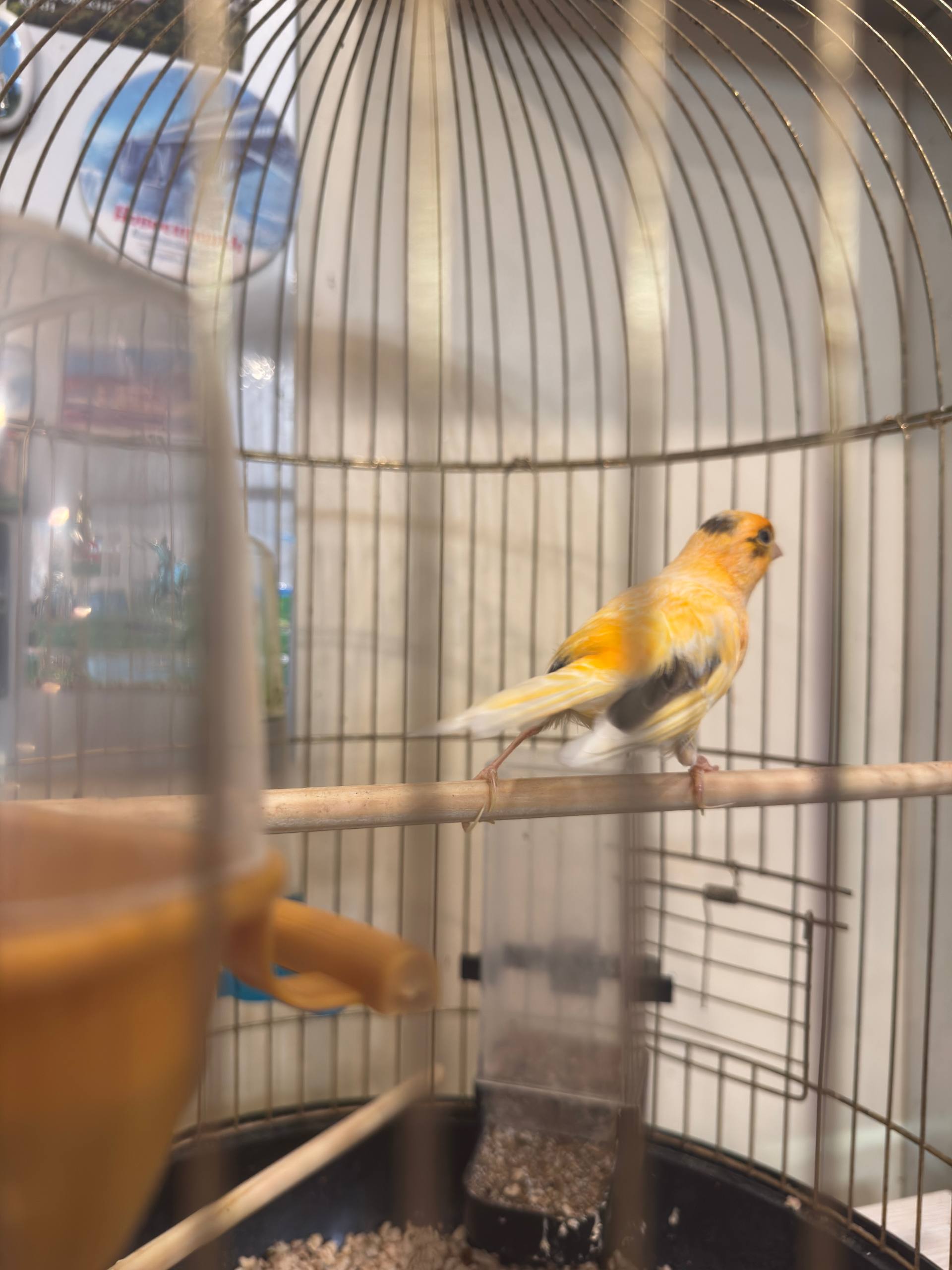 Классический четырехместный номер