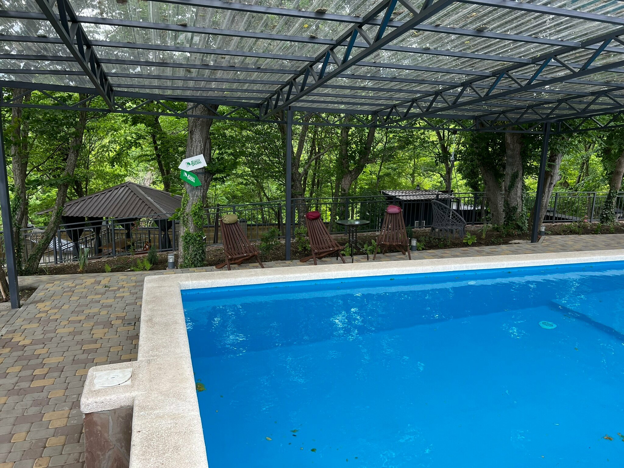 Дом с видом на лес