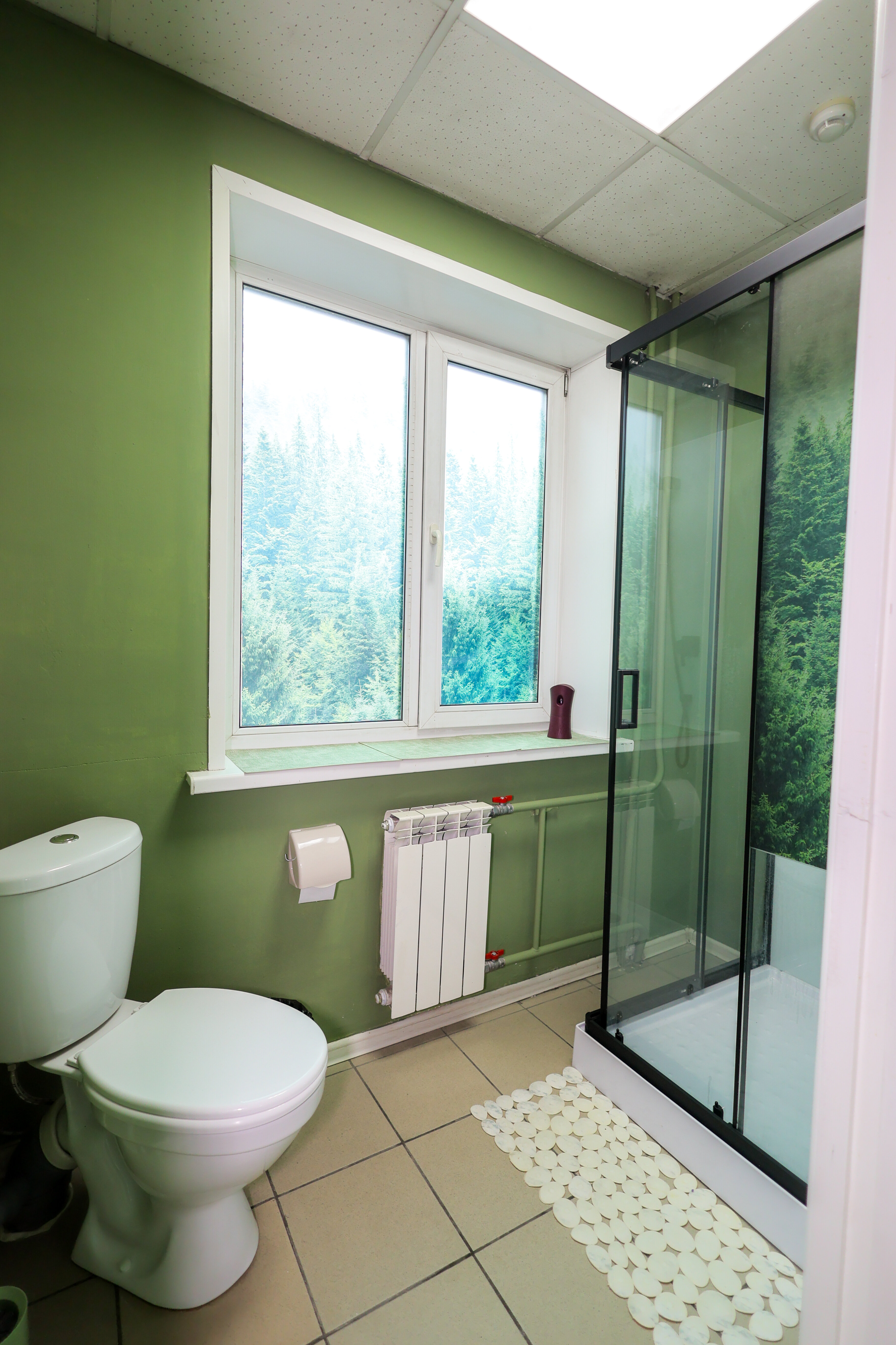 Двухместный номер с 2 отдельными кроватями, вид на город