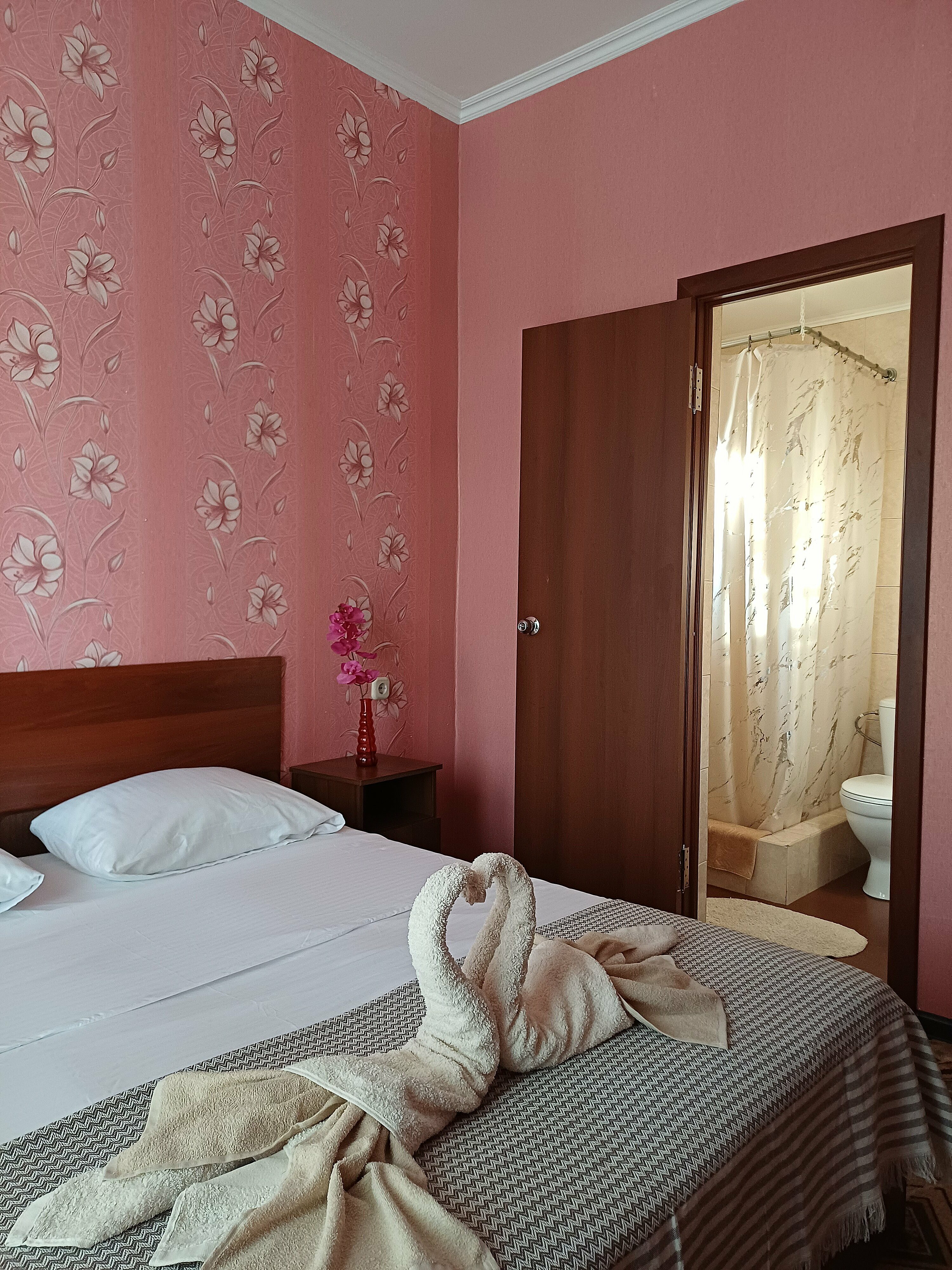 Двухместный номер с 1 кроватью и балконом