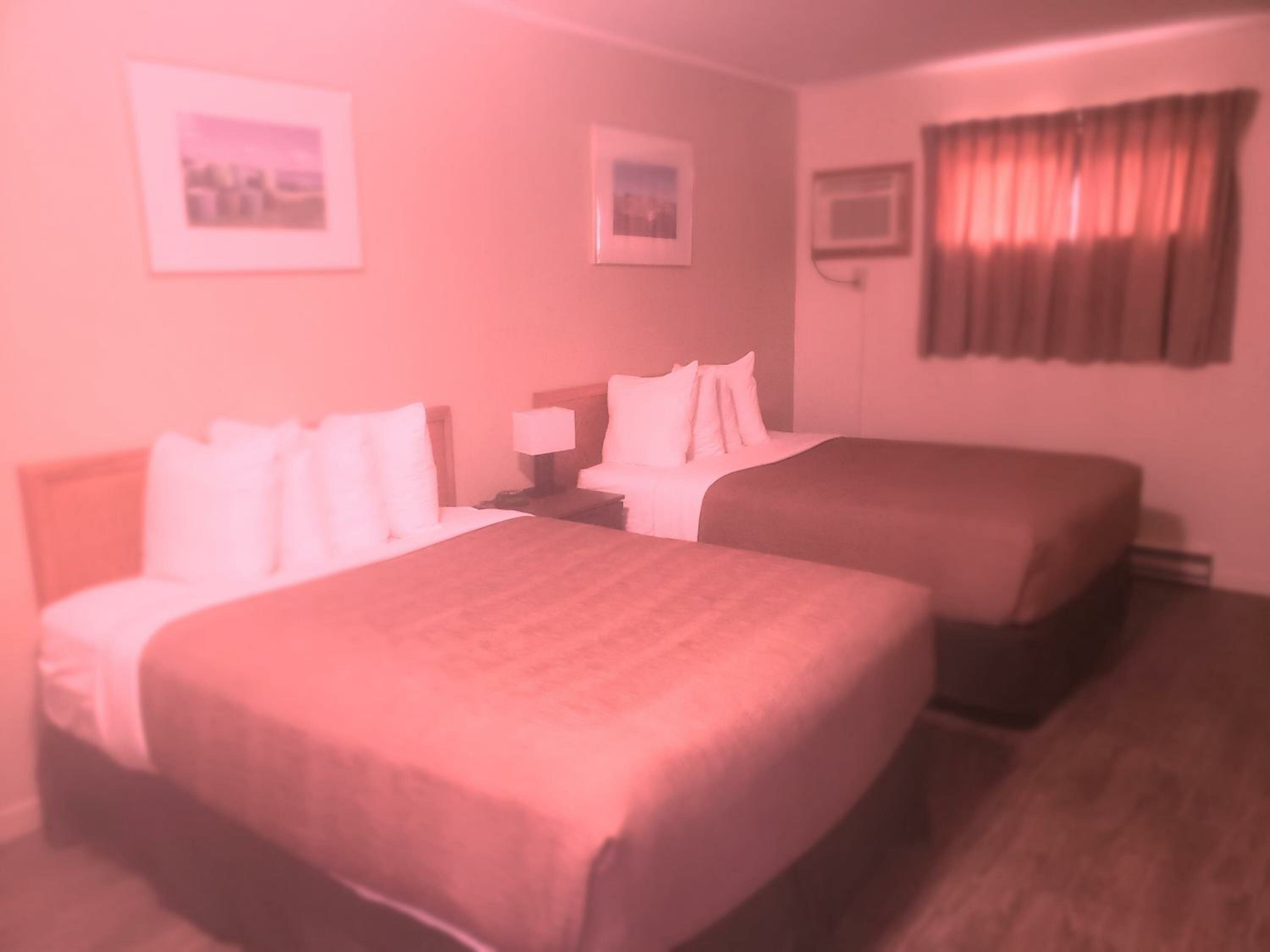 Double Room with Two Double Beds