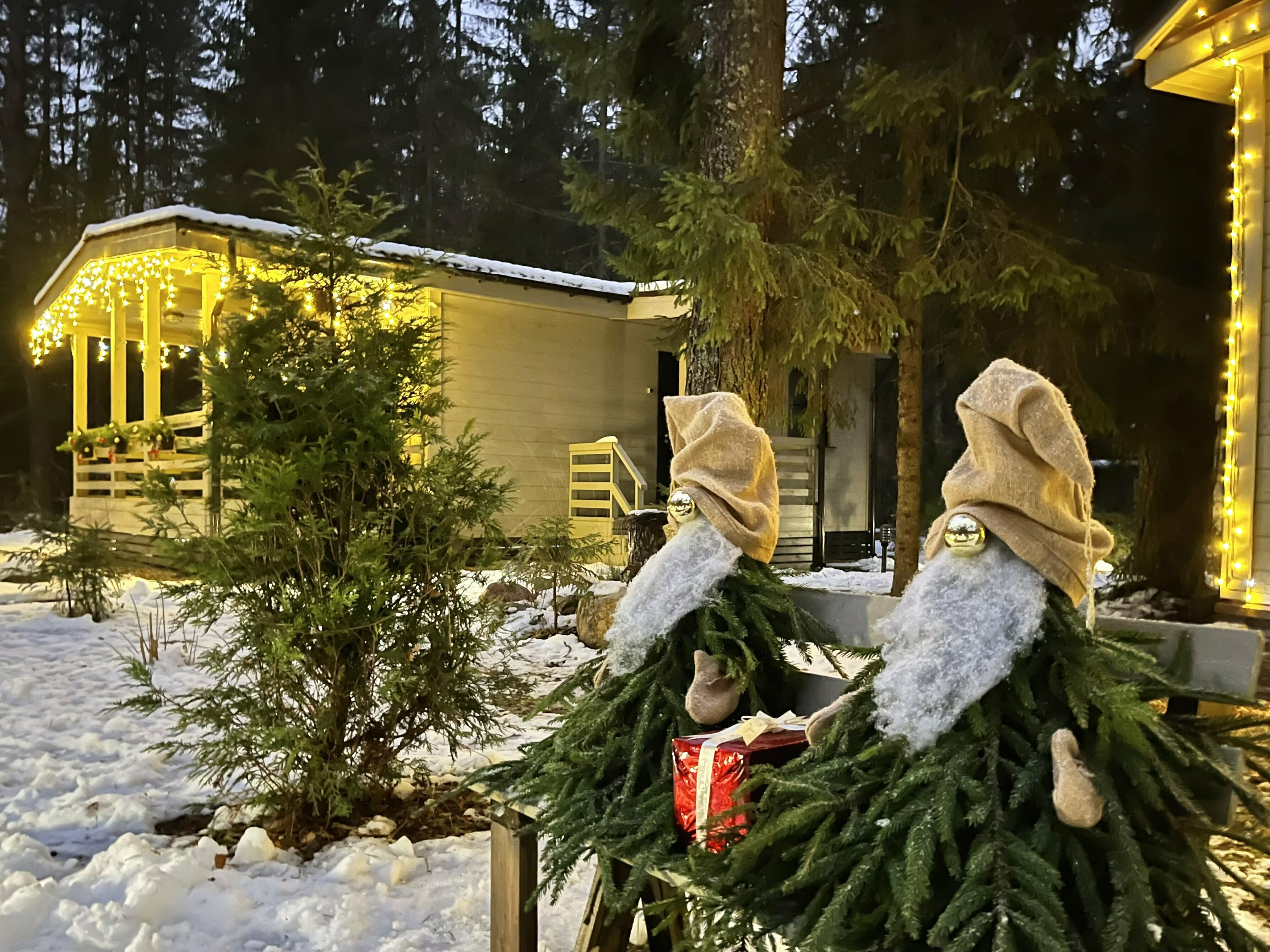 Домик на опушке