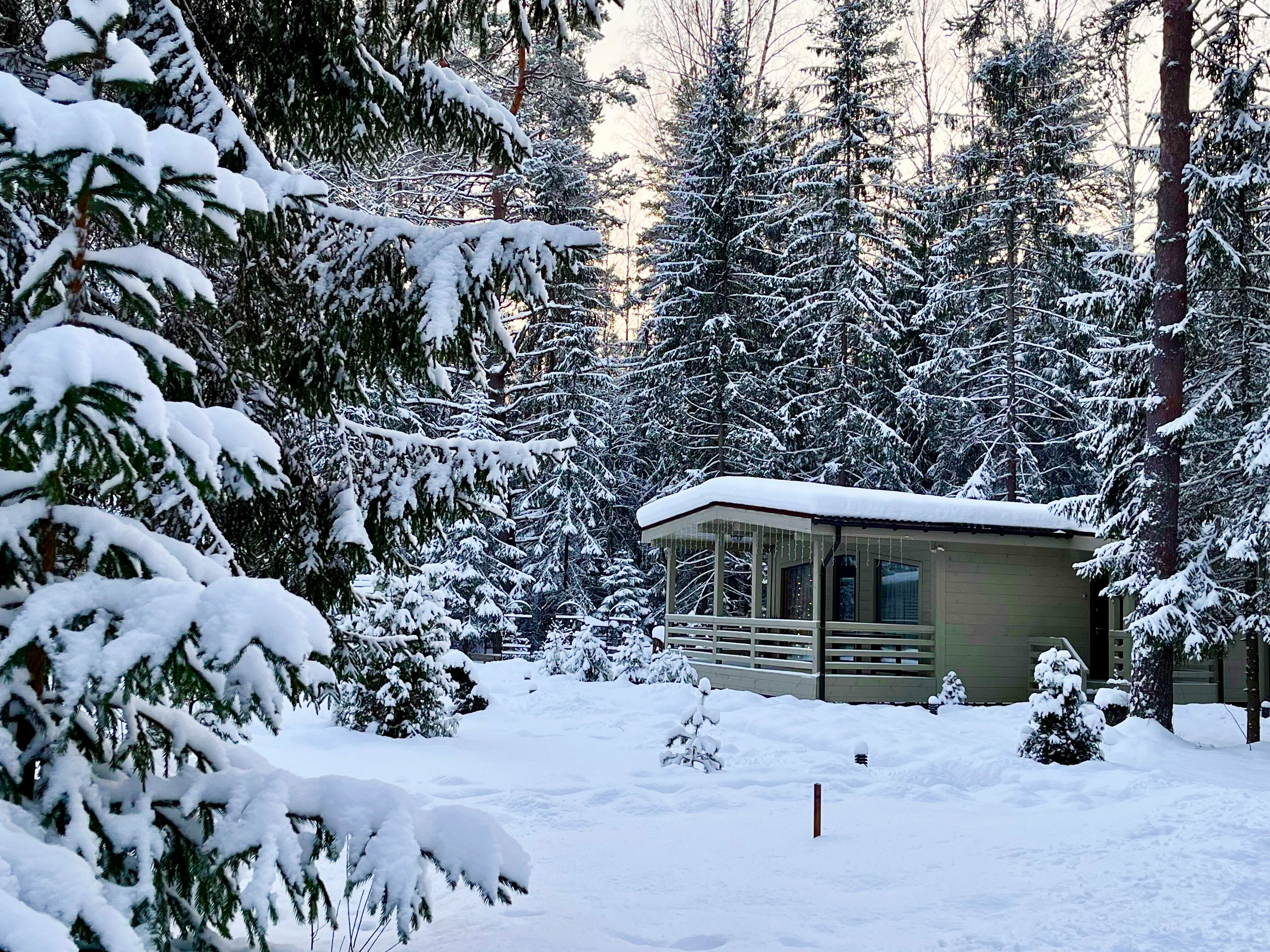 Домик на опушке