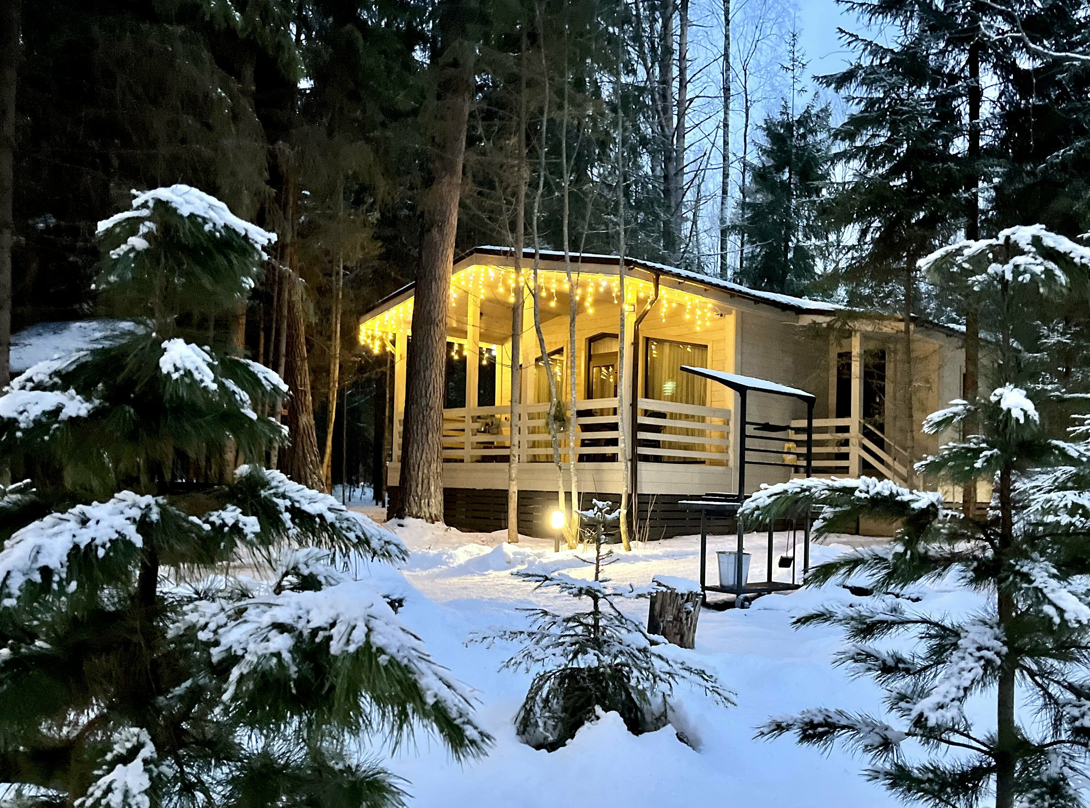 Грибной домик