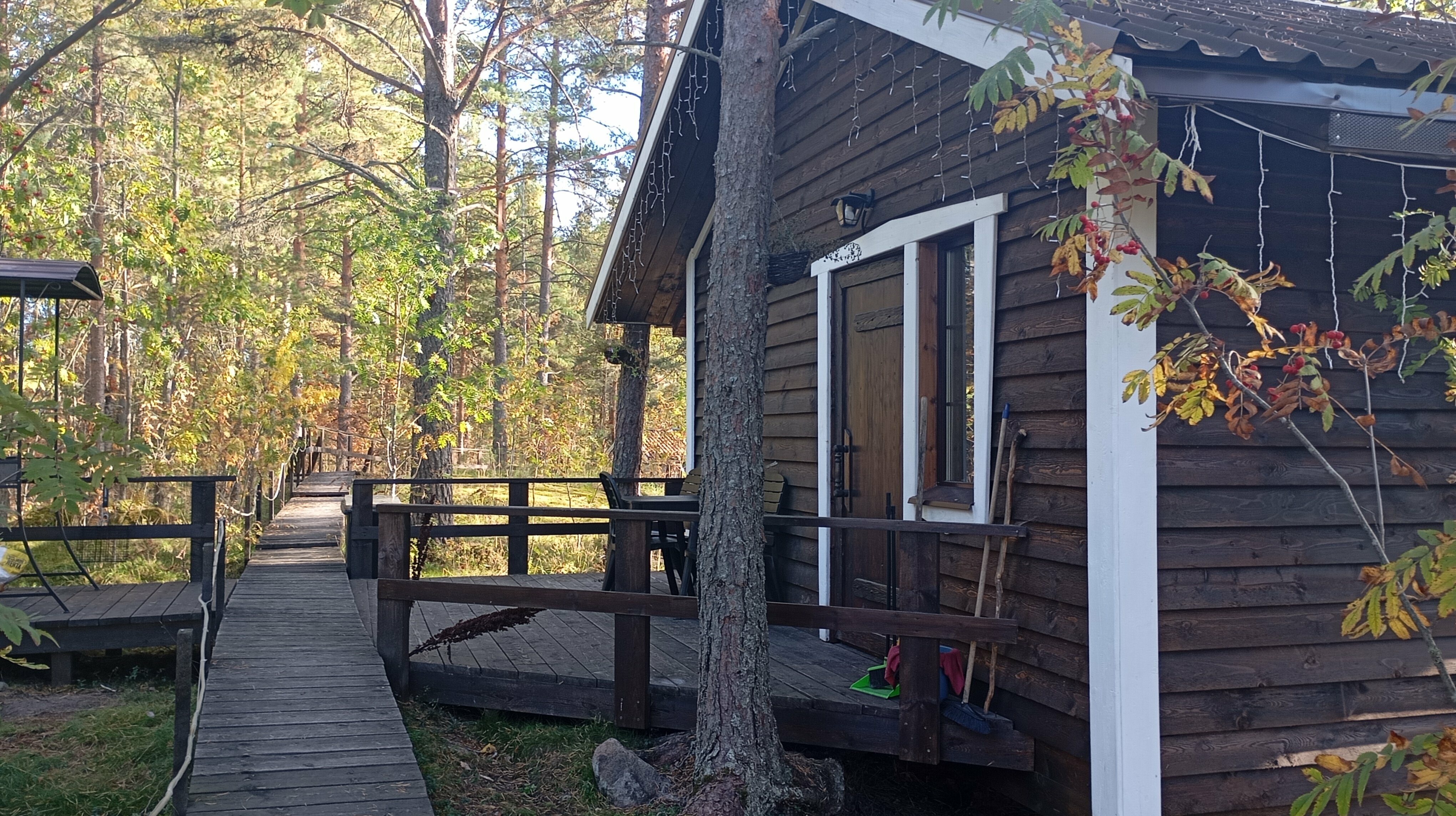 Коттедж с видом на лес