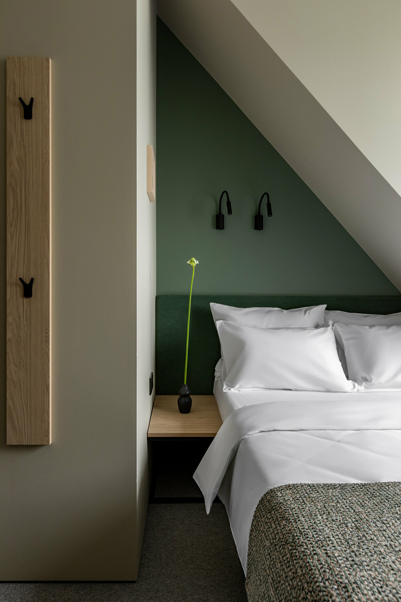 Двухместный номер Делюкс с 1 кроватью