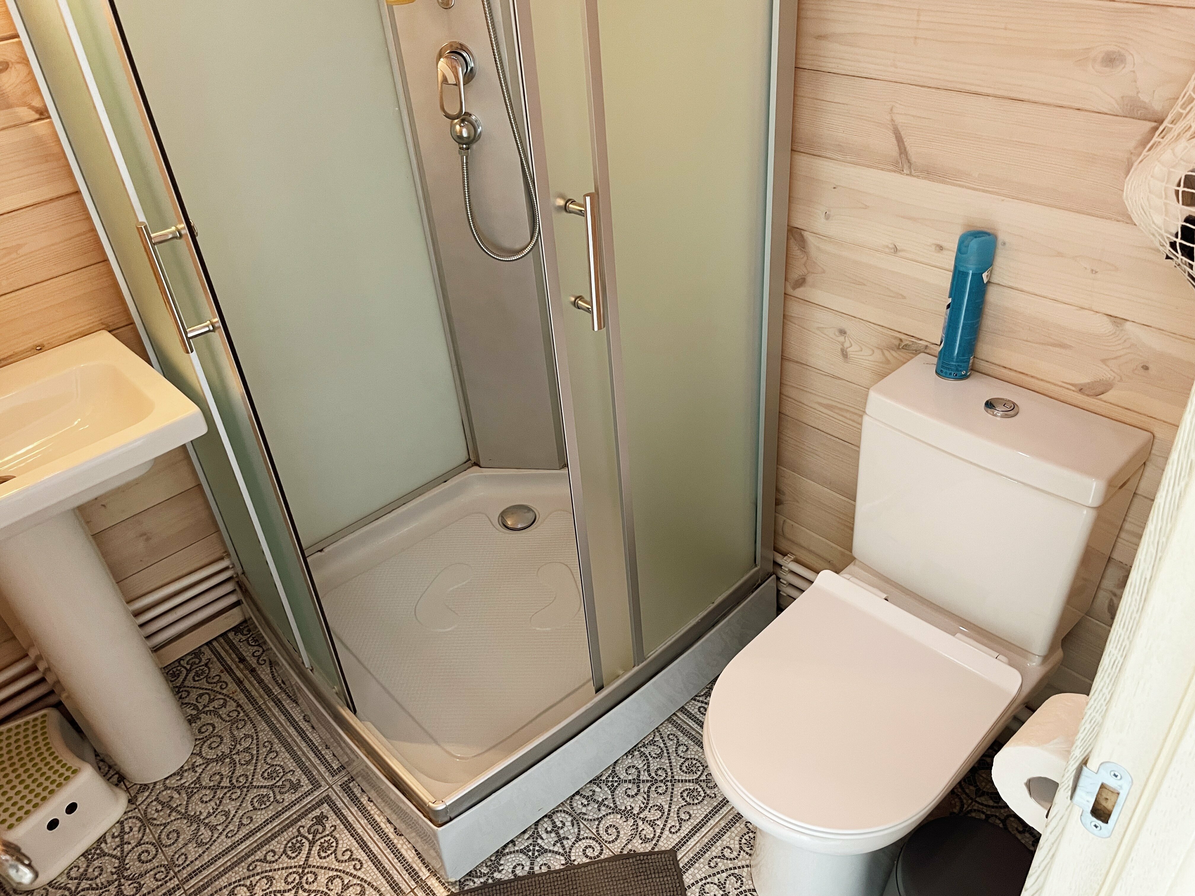 Топинамбур