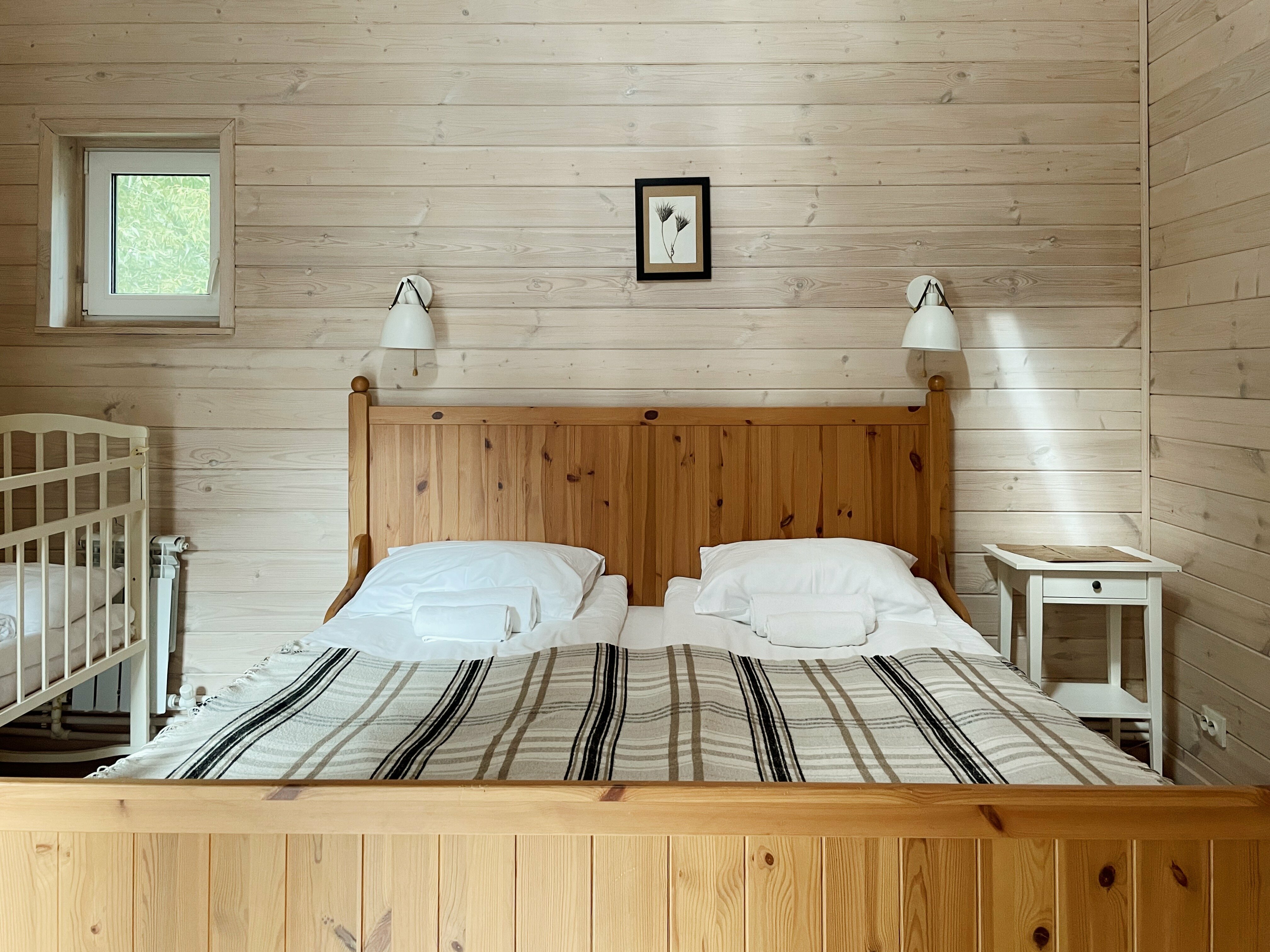 Топинамбур