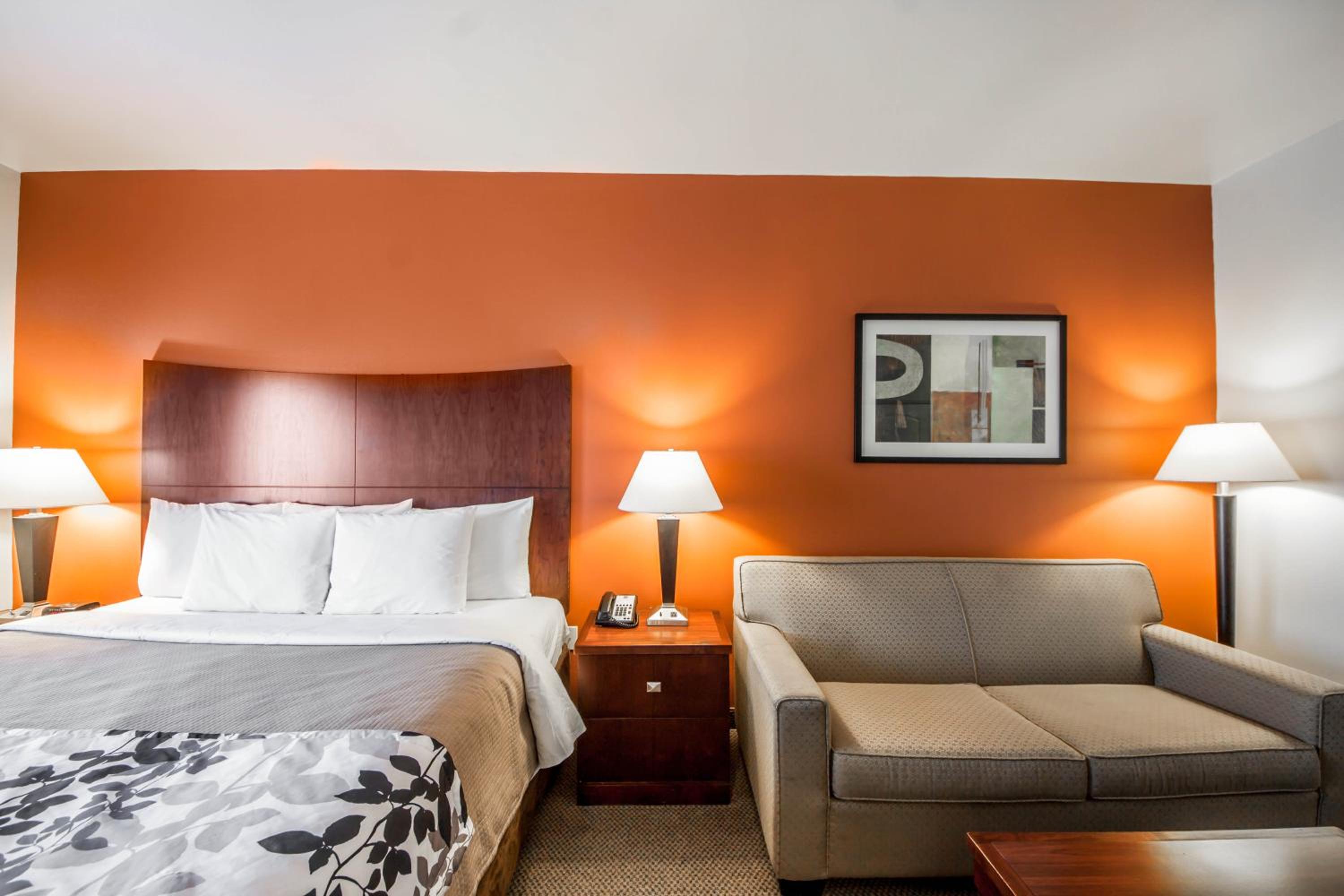 King Suite - Non-Smoking