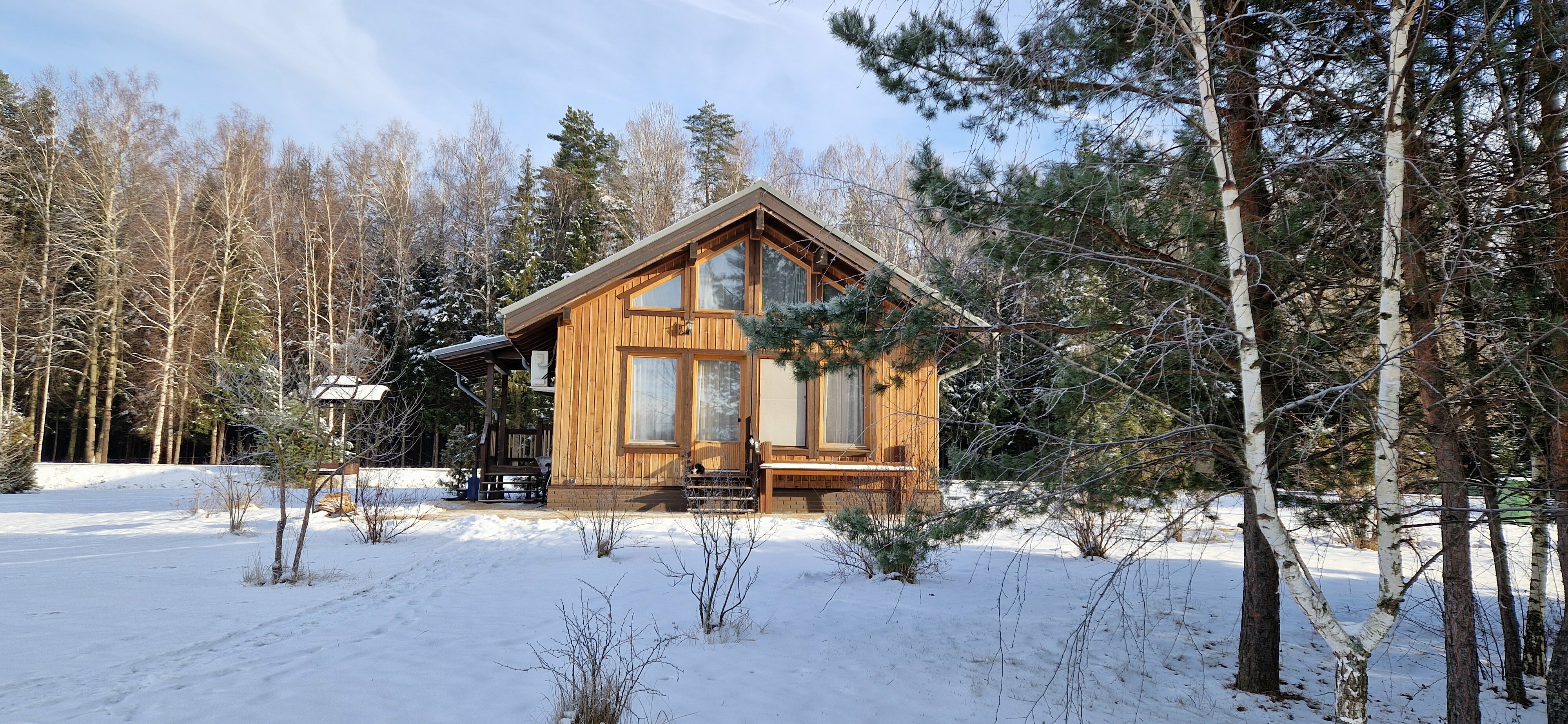 Дом рядом лесом