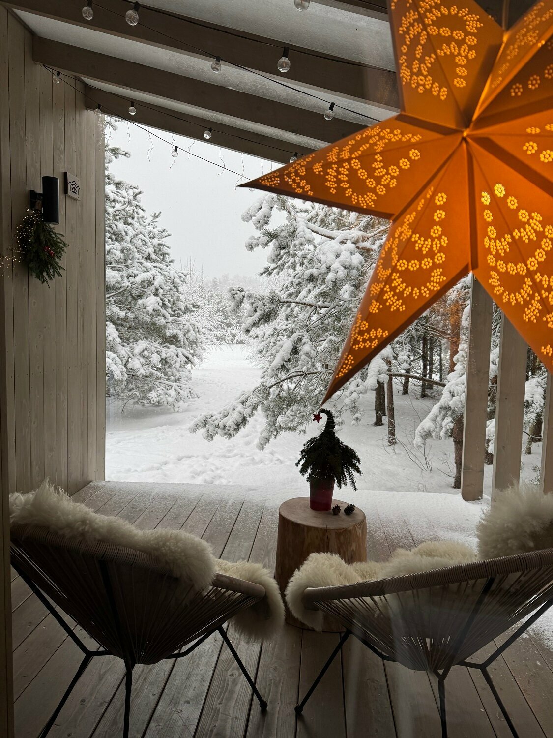 Дом с видом на лес