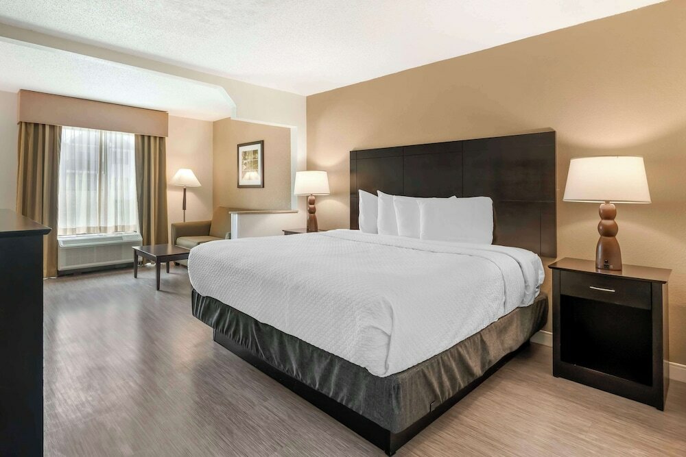 Suite, 1 King Bed, Non Smoking, Refrigerator & Microwave (with Sofabed)