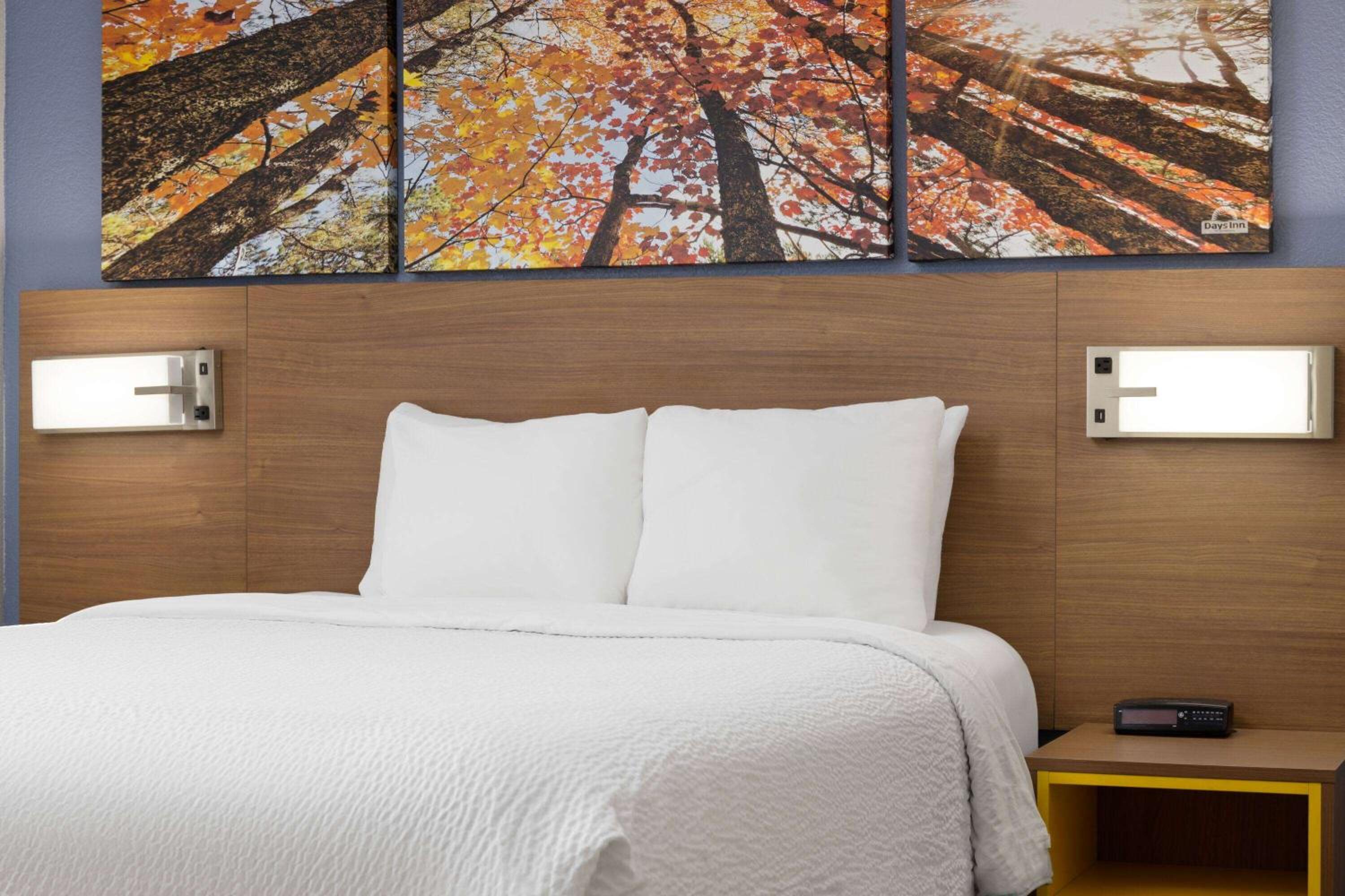 Queen Suite - Non-Smoking