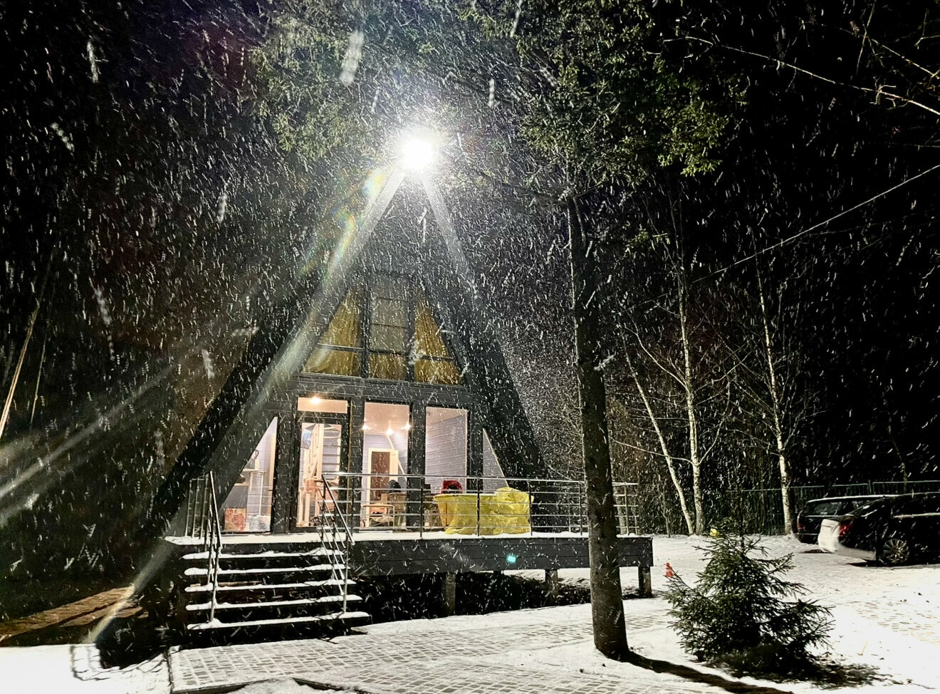 Дом с видом на лес