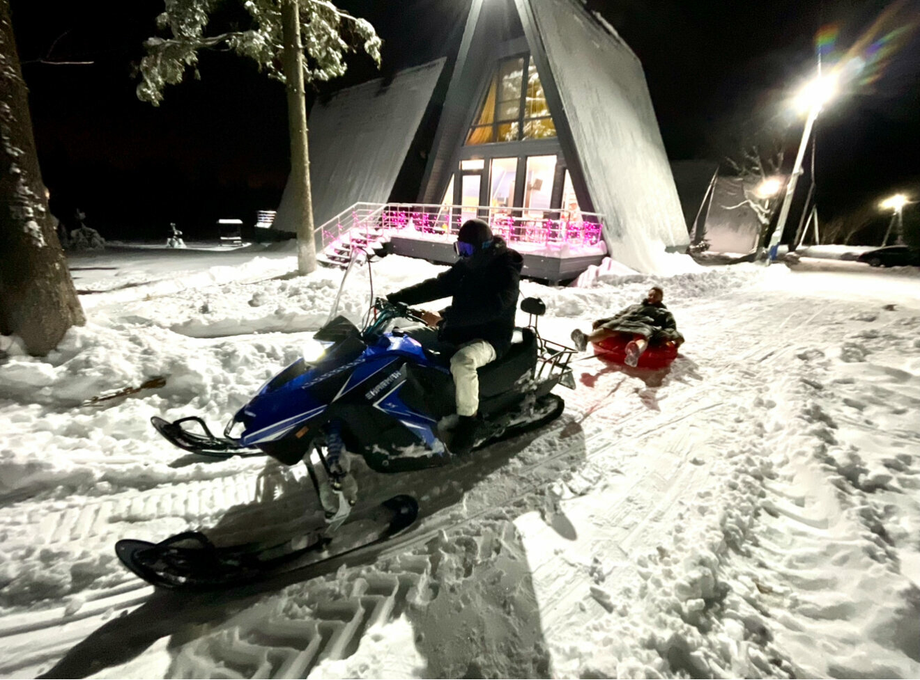 Дом с видом на лес