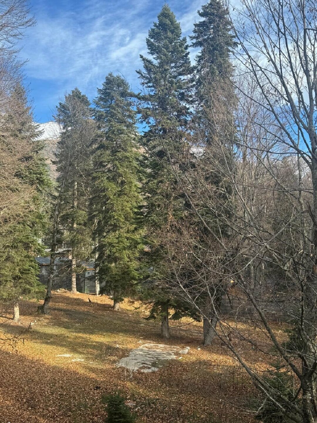 Стандарт с балконом