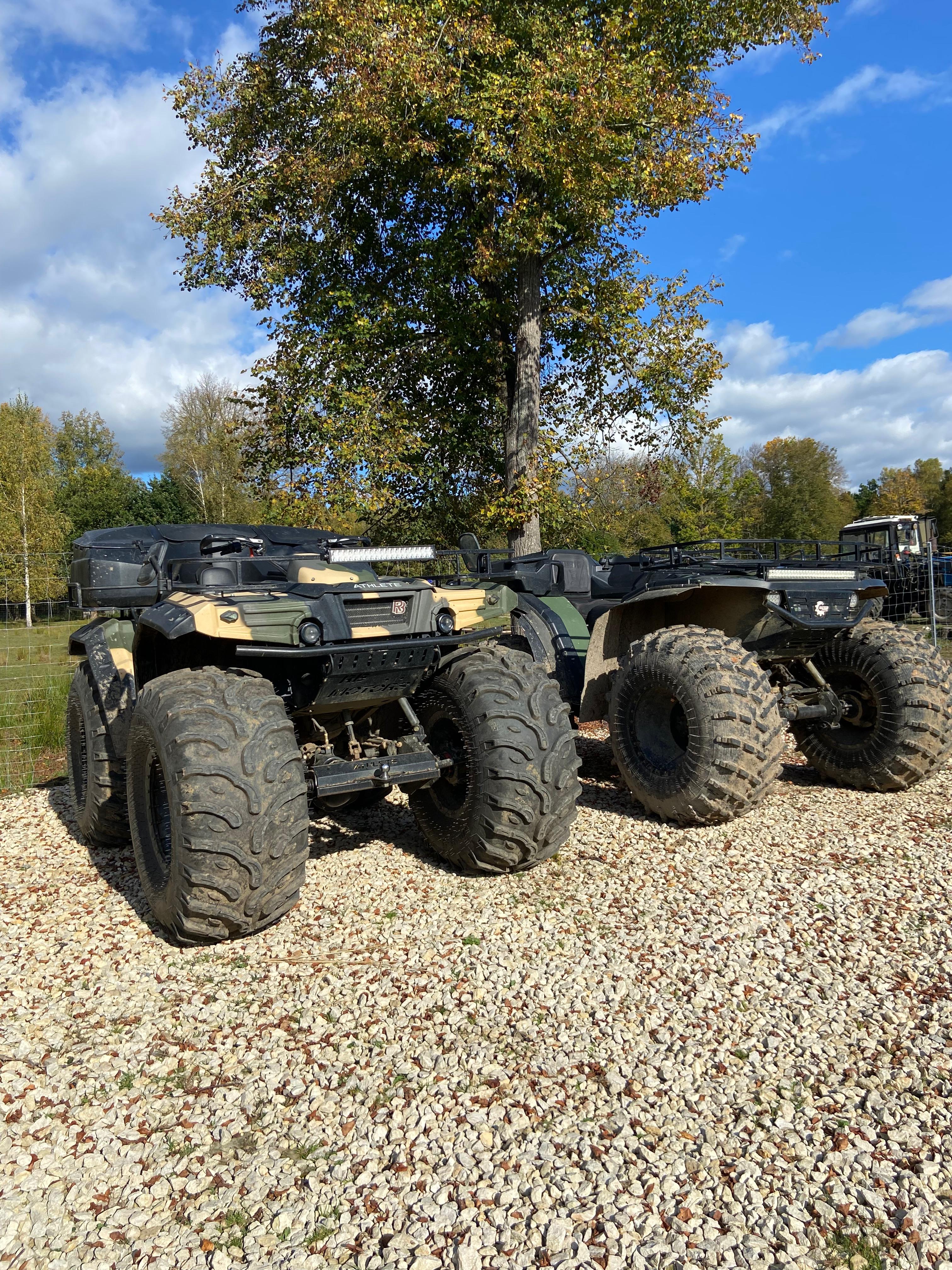 Дом с видом на лес