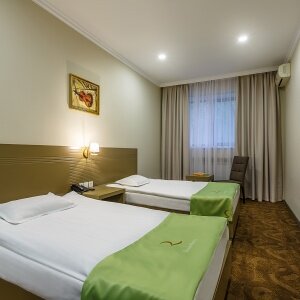 СТАНДАРТ ДВУХМЕСТНЫЙ TWIN