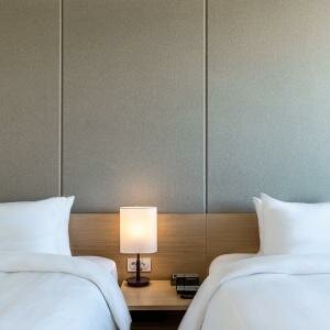 Премьер Твин