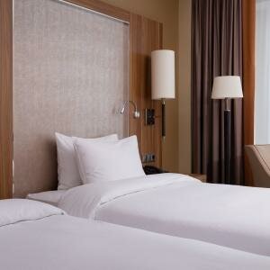 Стандарт Твин