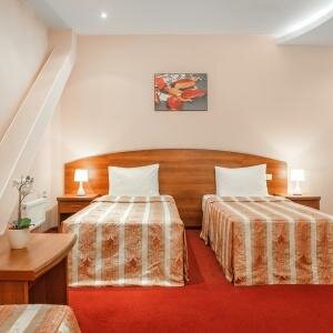 Стандартный улучшенный номер (две кровати)