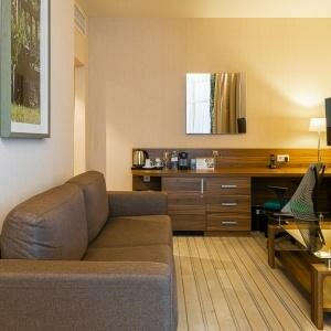 Люкс с панорамным видом на парк и пруд