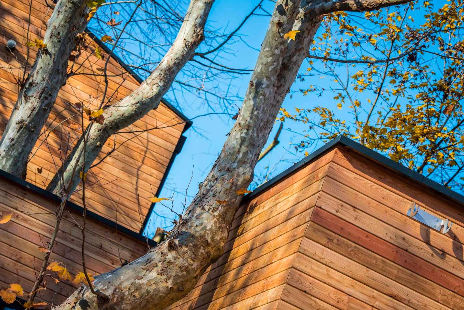 Chalet Oliveto