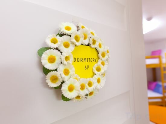 Bed in 6 Beds Female Dormitory