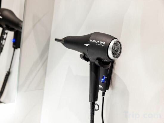 Executive Rooftop Terrace Room