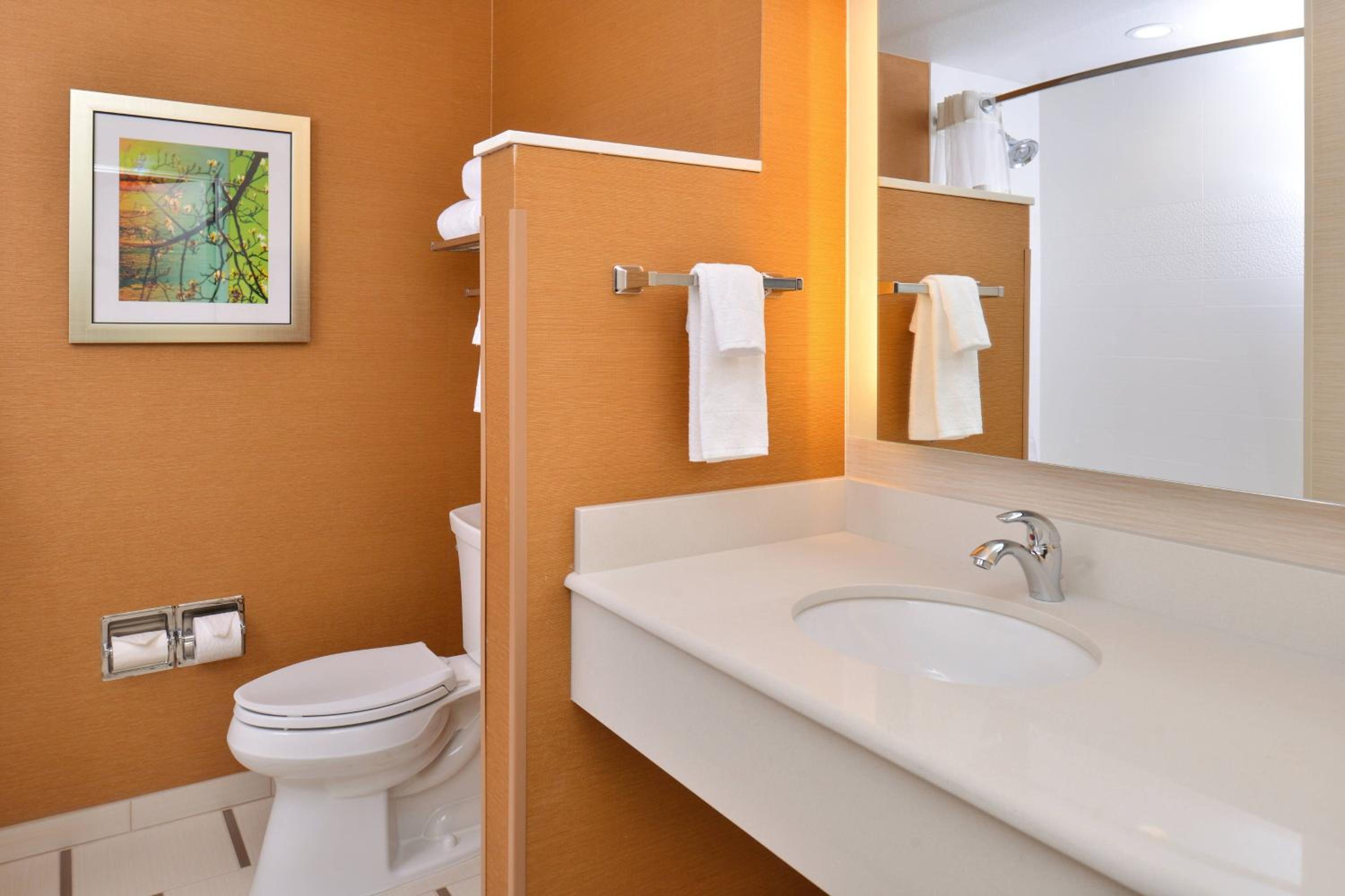 King Room with Roll-in Shower - Mobility Accessible