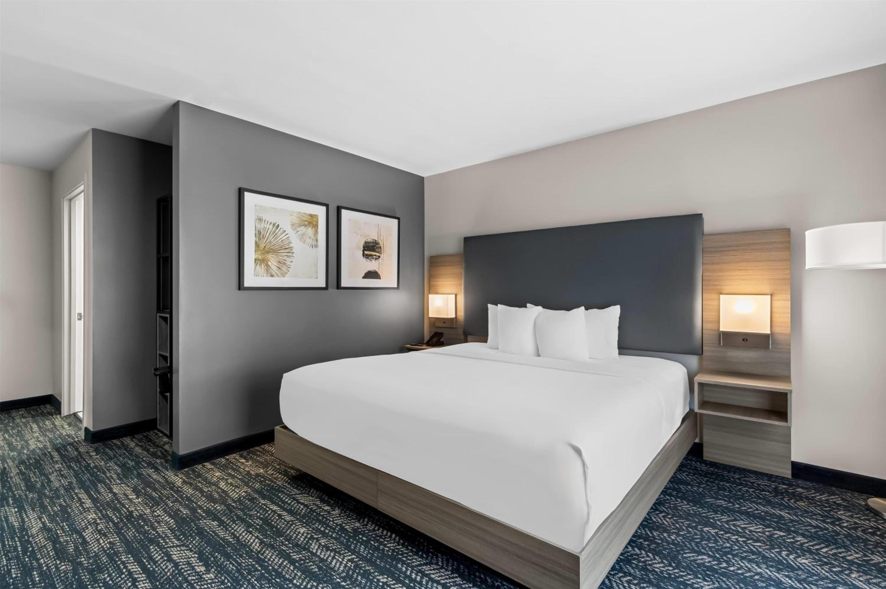 King Room with Mobility/Hearing Access and Roll-In Shower, Non-Smoking