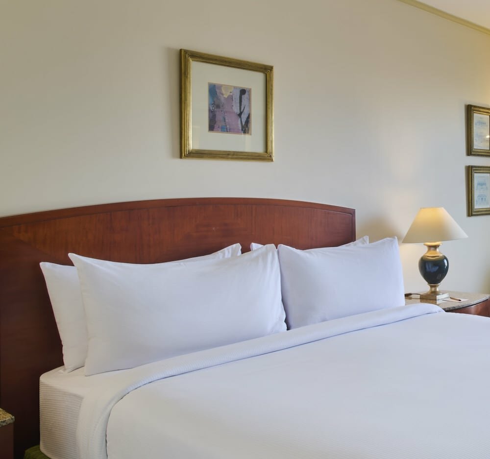 Executive Room, 1 King Bed (Nile View)