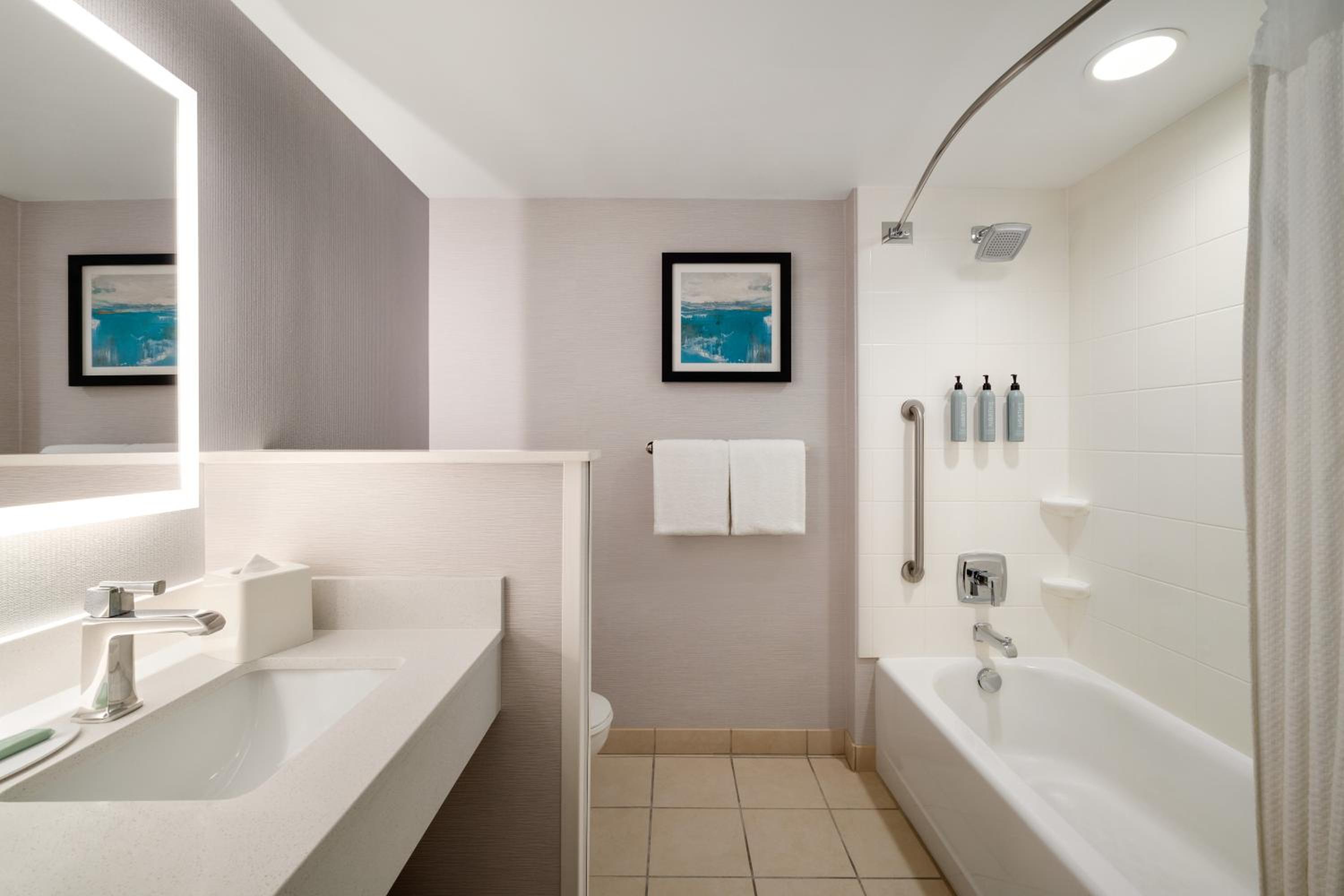 Queen Room City View - Mobility/Hearing Accessible with Tub