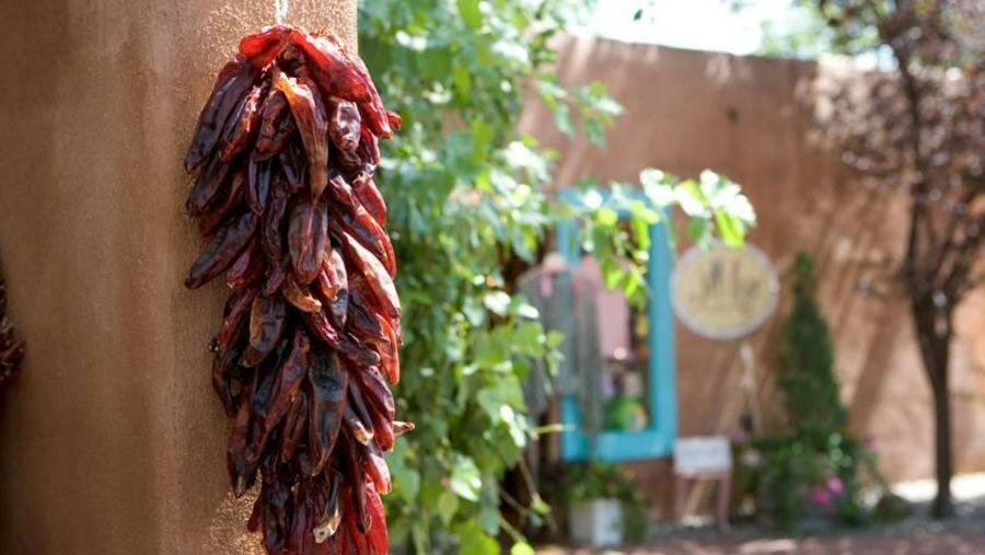 King Room with Sofa Bed and Roll-in Shower - Mobility and Hearing Accessible