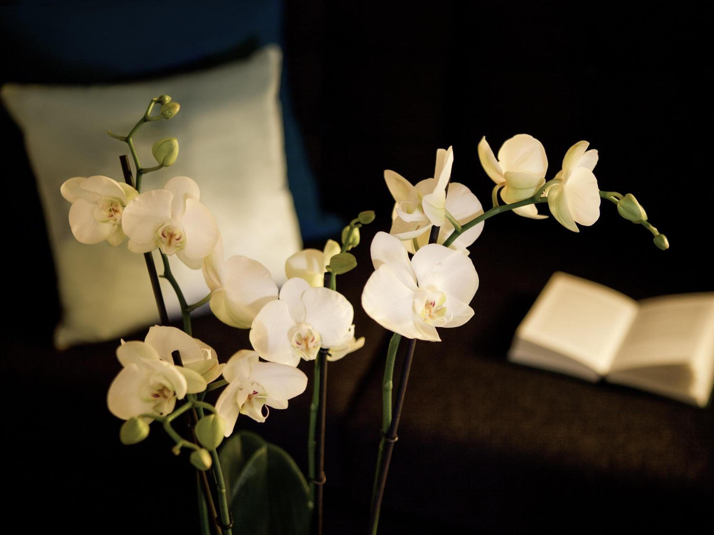 Accessible Room with Two Single Beds