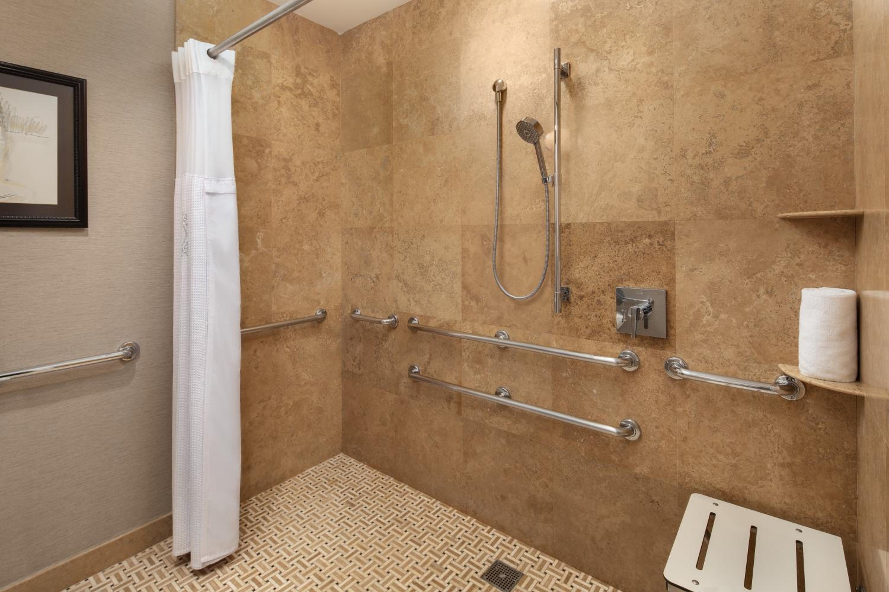 Deluxe King Room with City View and Roll-In Shower - Mobility Accessible