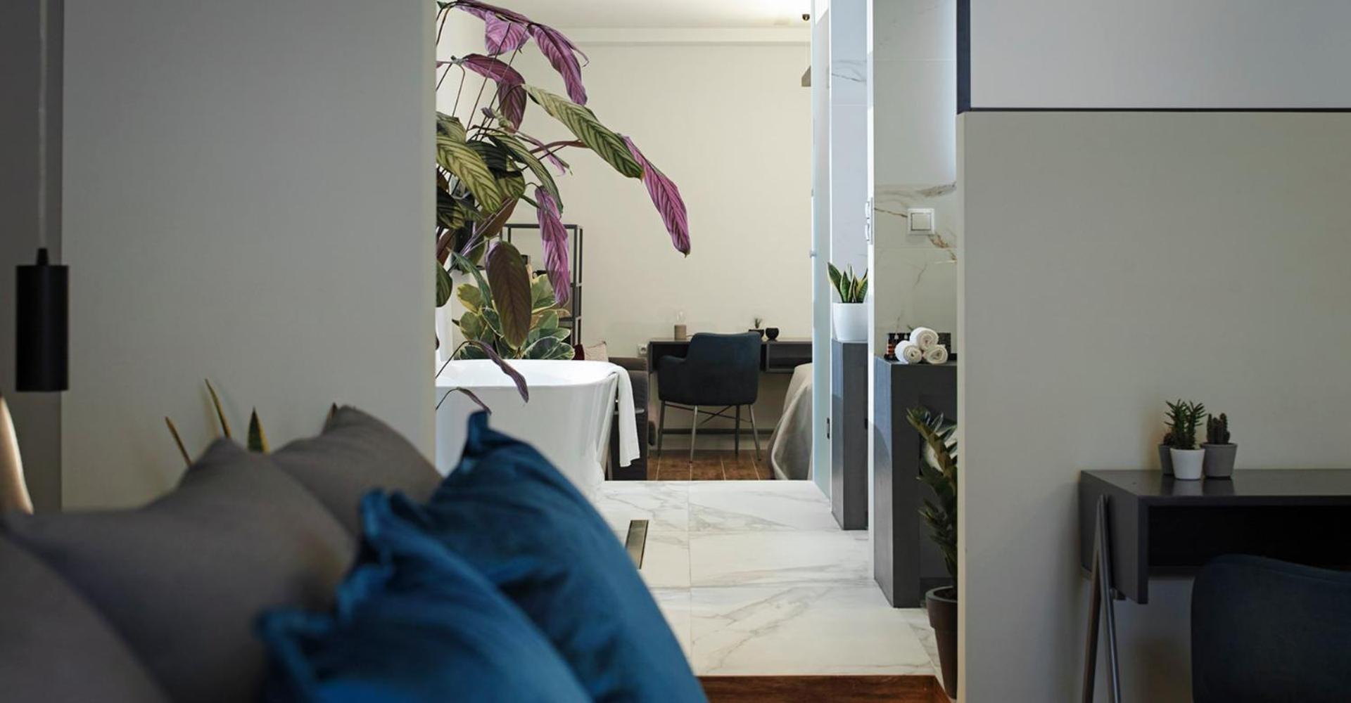 Superior Suite