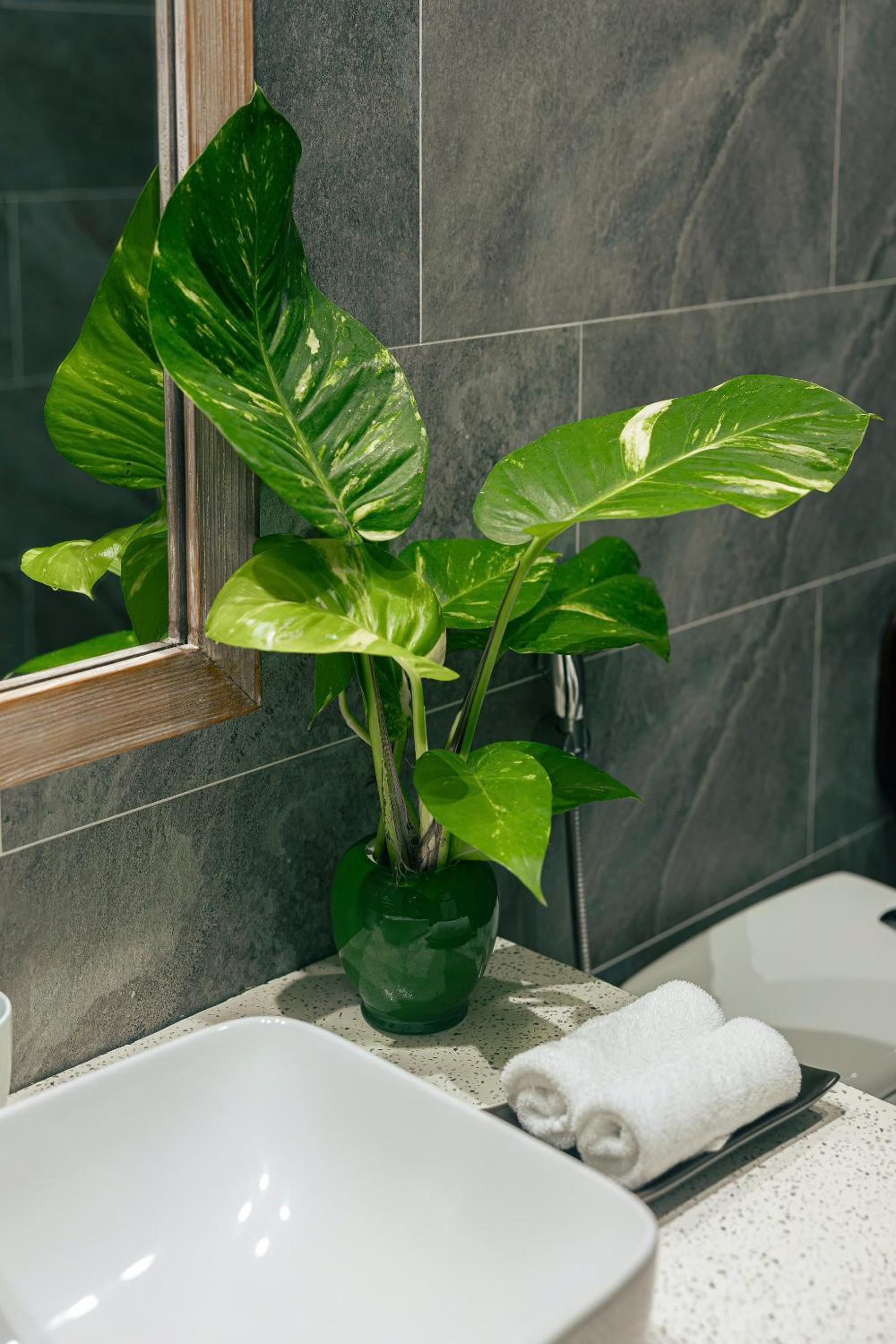 03 Bedroom Villa with Garden View