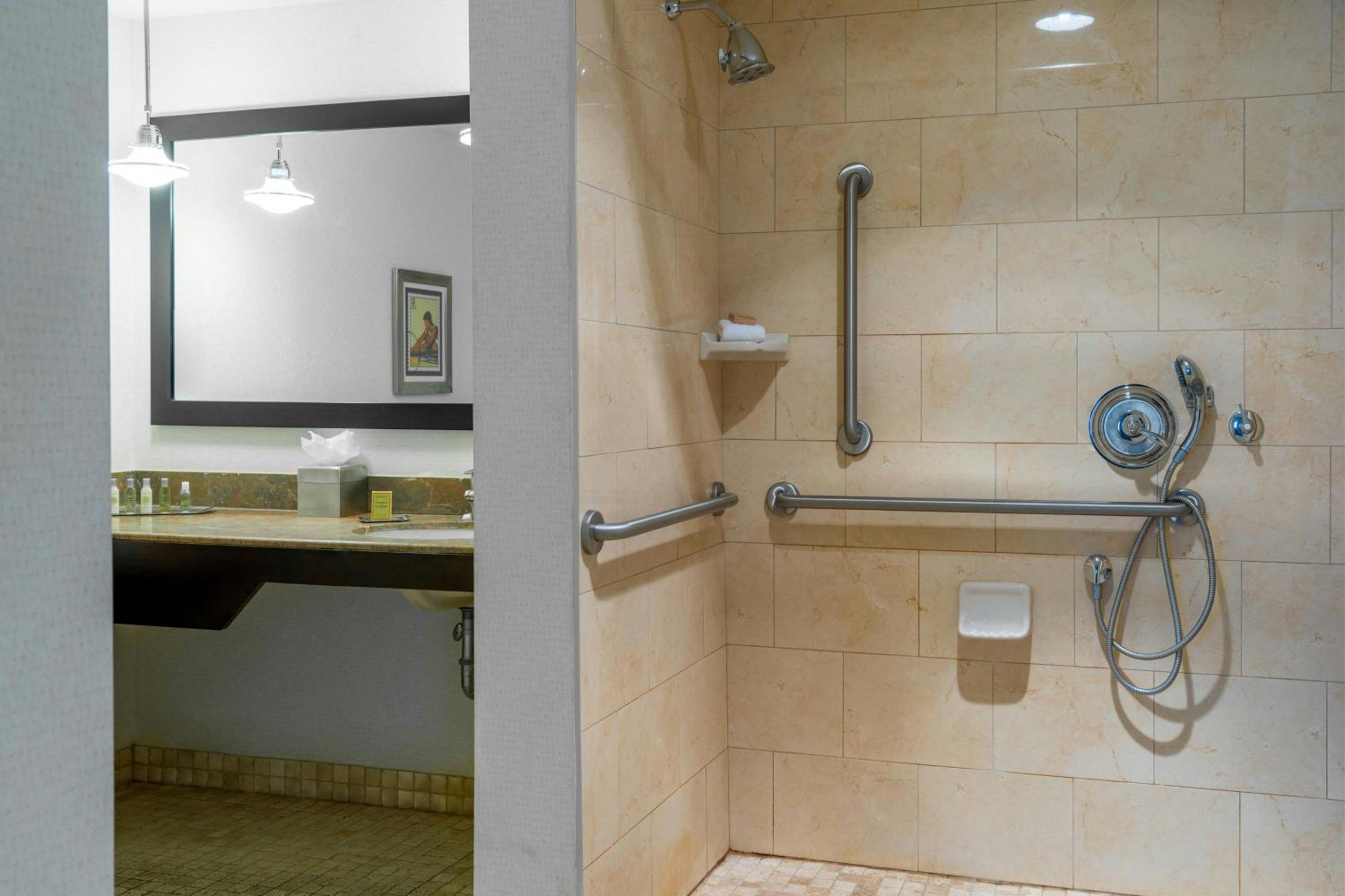 Standard King Suite with Sofa Bed, Roll-In Shower and City View - Mobilty and Hearing Accessible