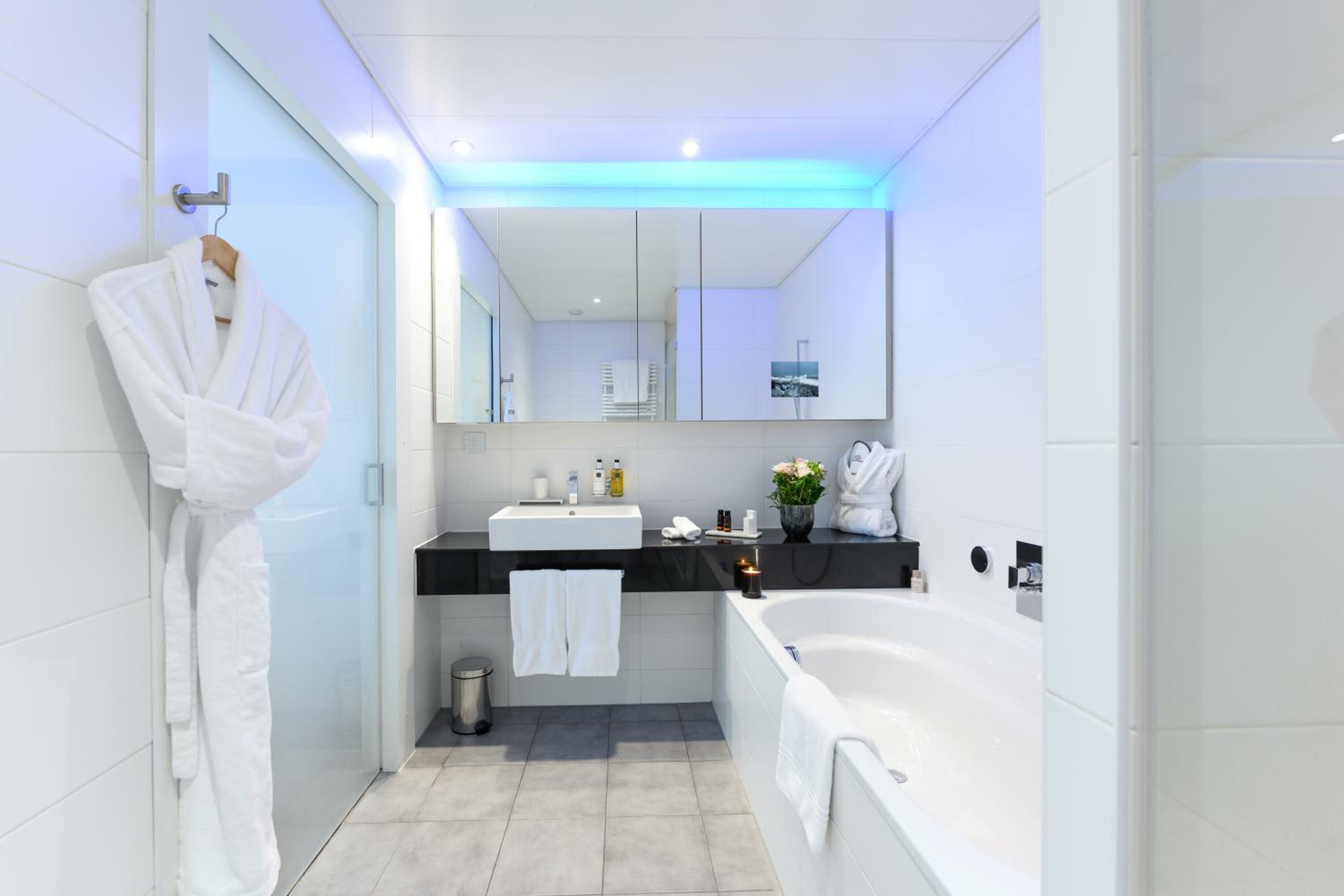 Standard One-Bedroom Apartment