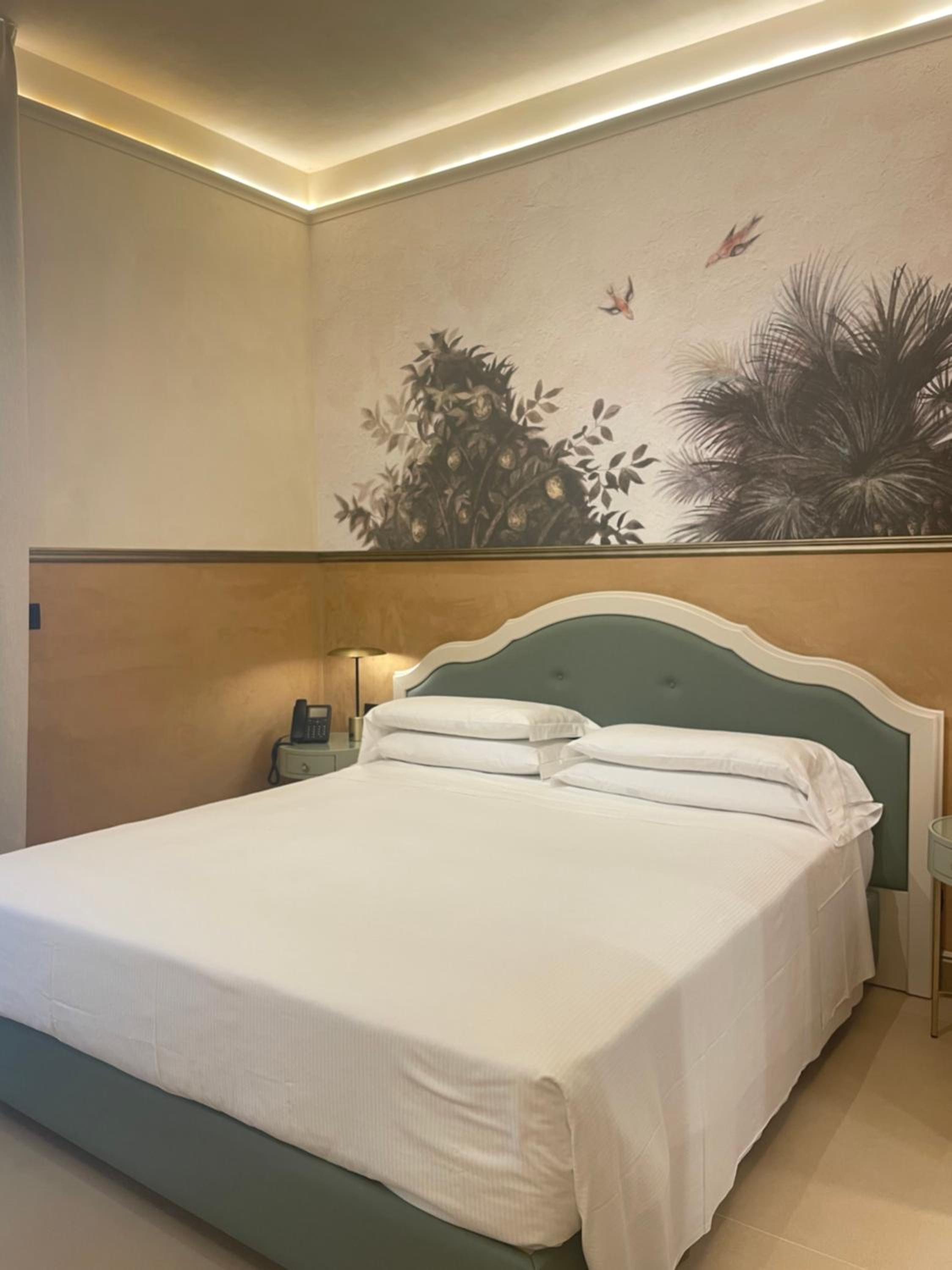 Superior Double Room - Ground Floor