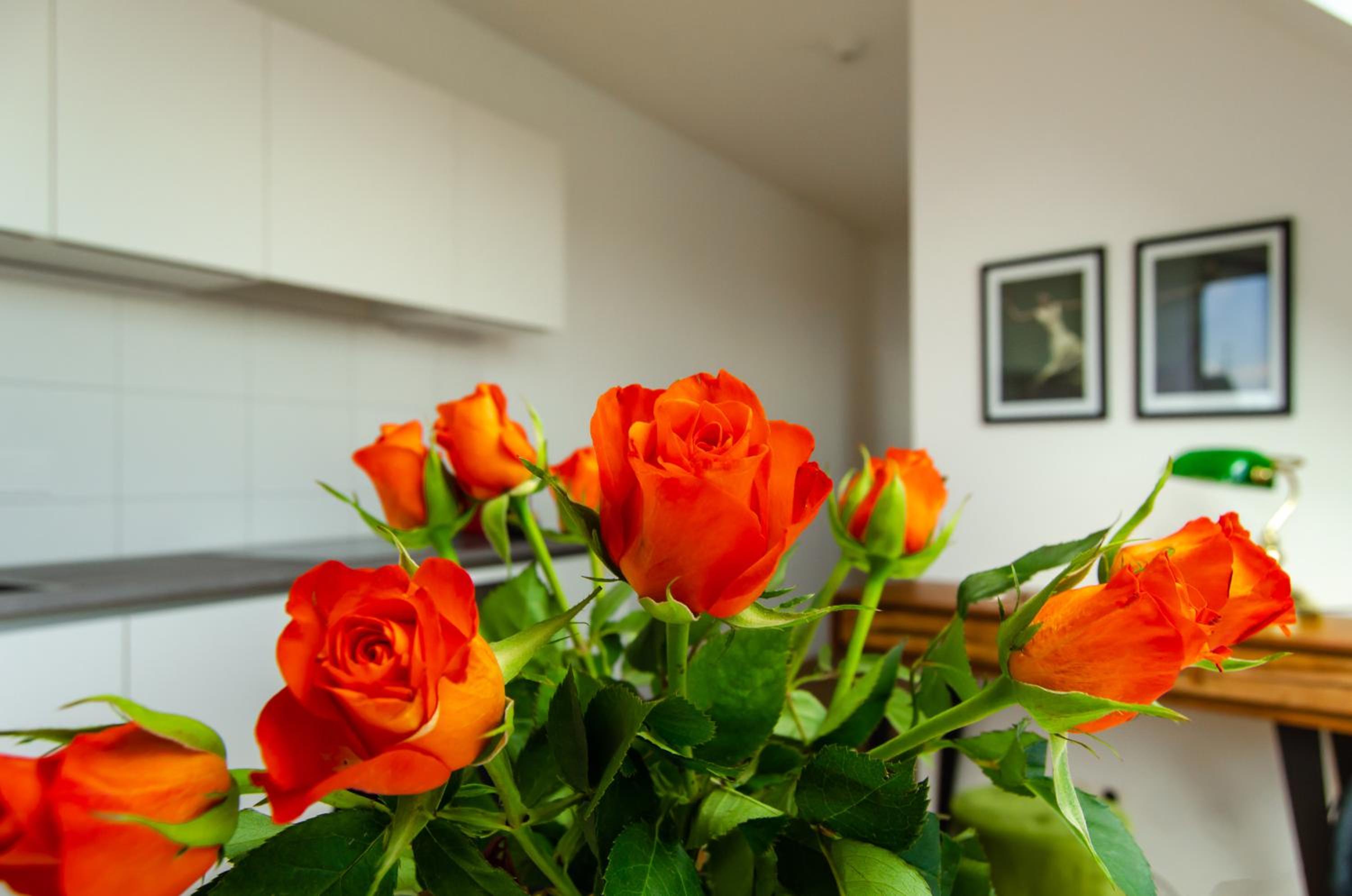 One-Bedroom Apartment with Balcony and City View