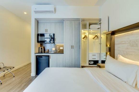 Deluxe room / Kitchenette / Artificial green wall view / Animals Permitted ($)