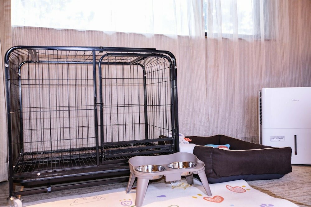 Room, 2 Twin Beds (Pet-Friendly)